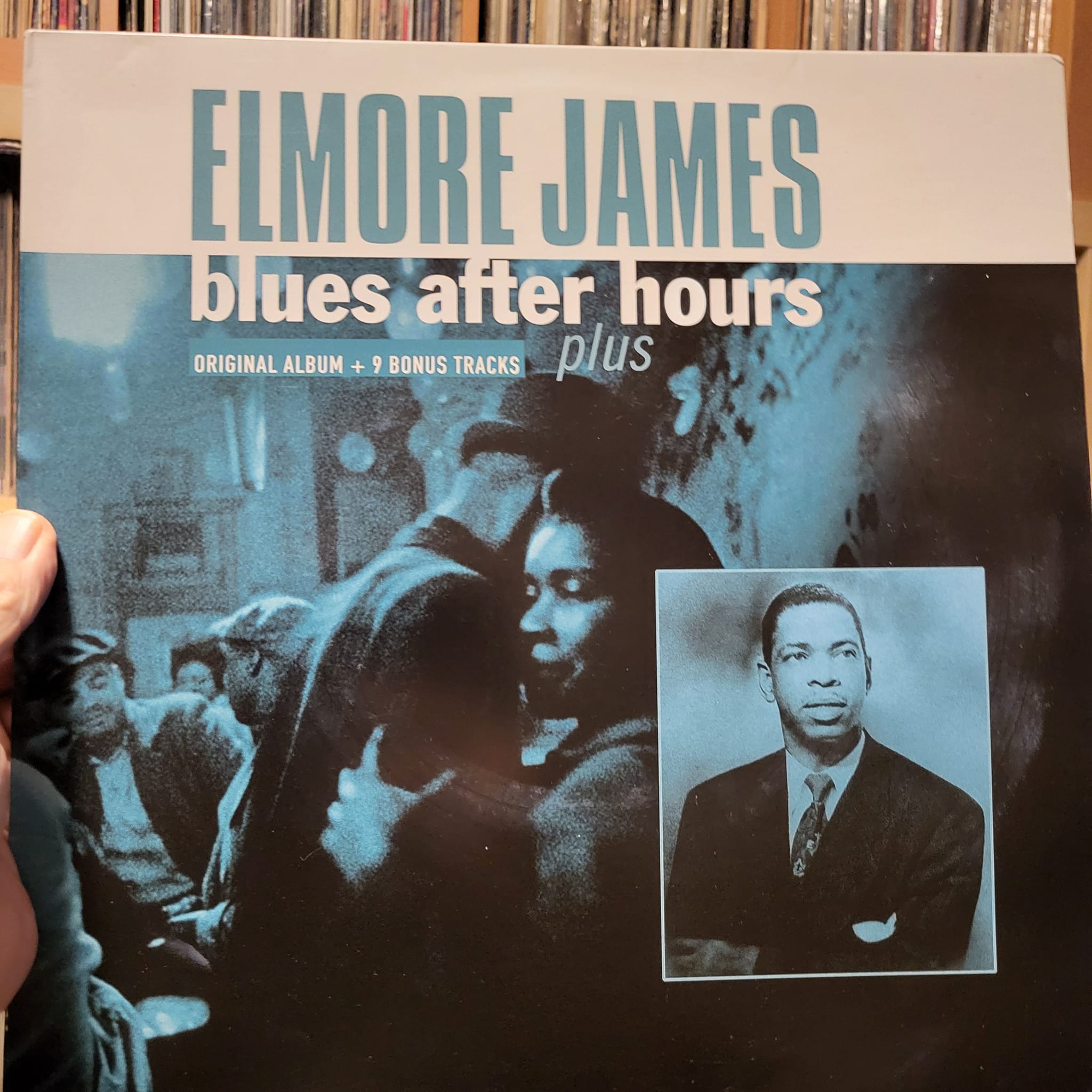 Elmore James - All them blues. 2xLP compilation.