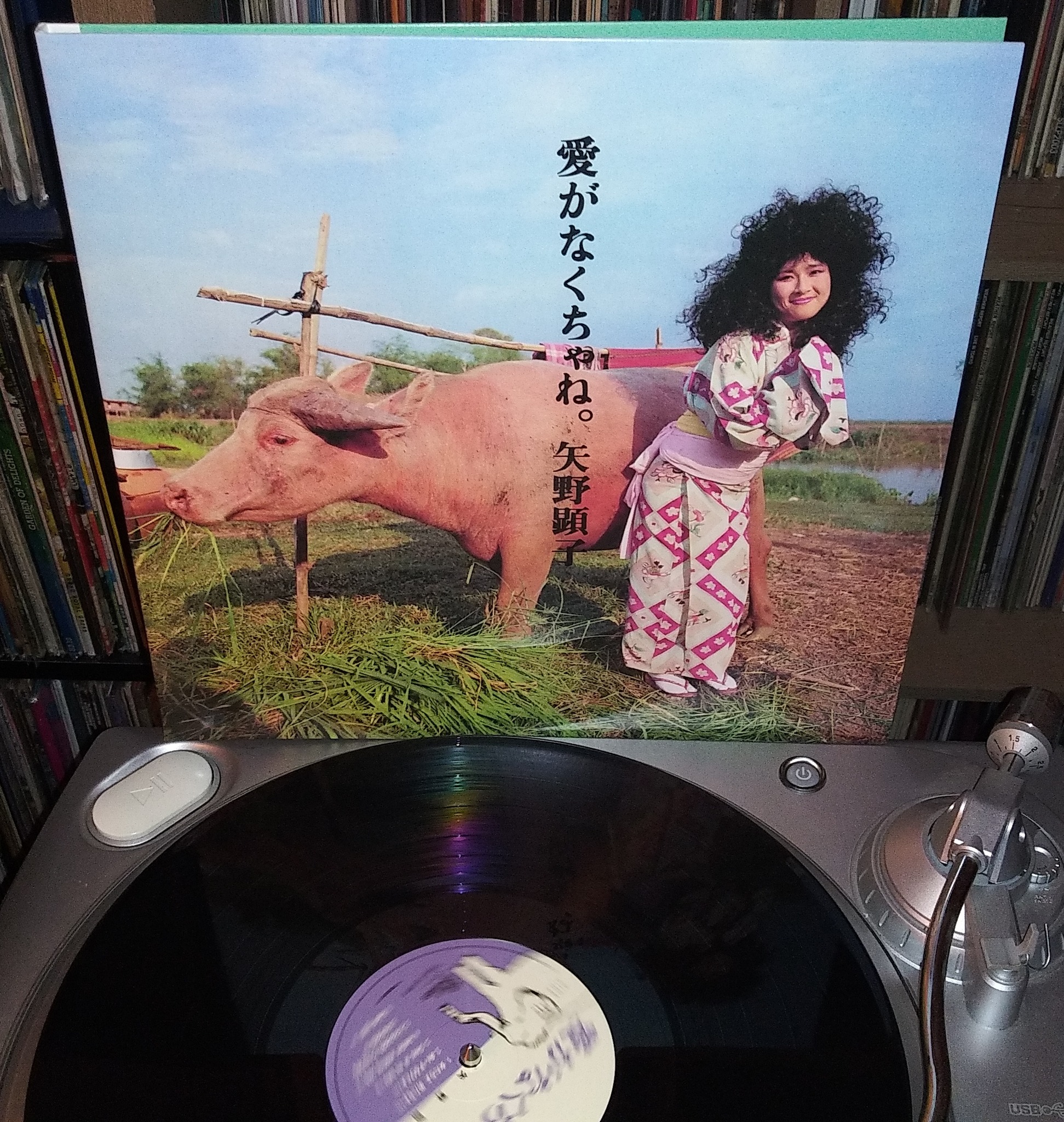 Akiko Yano's 1980 album Gohan ga Dekitayo