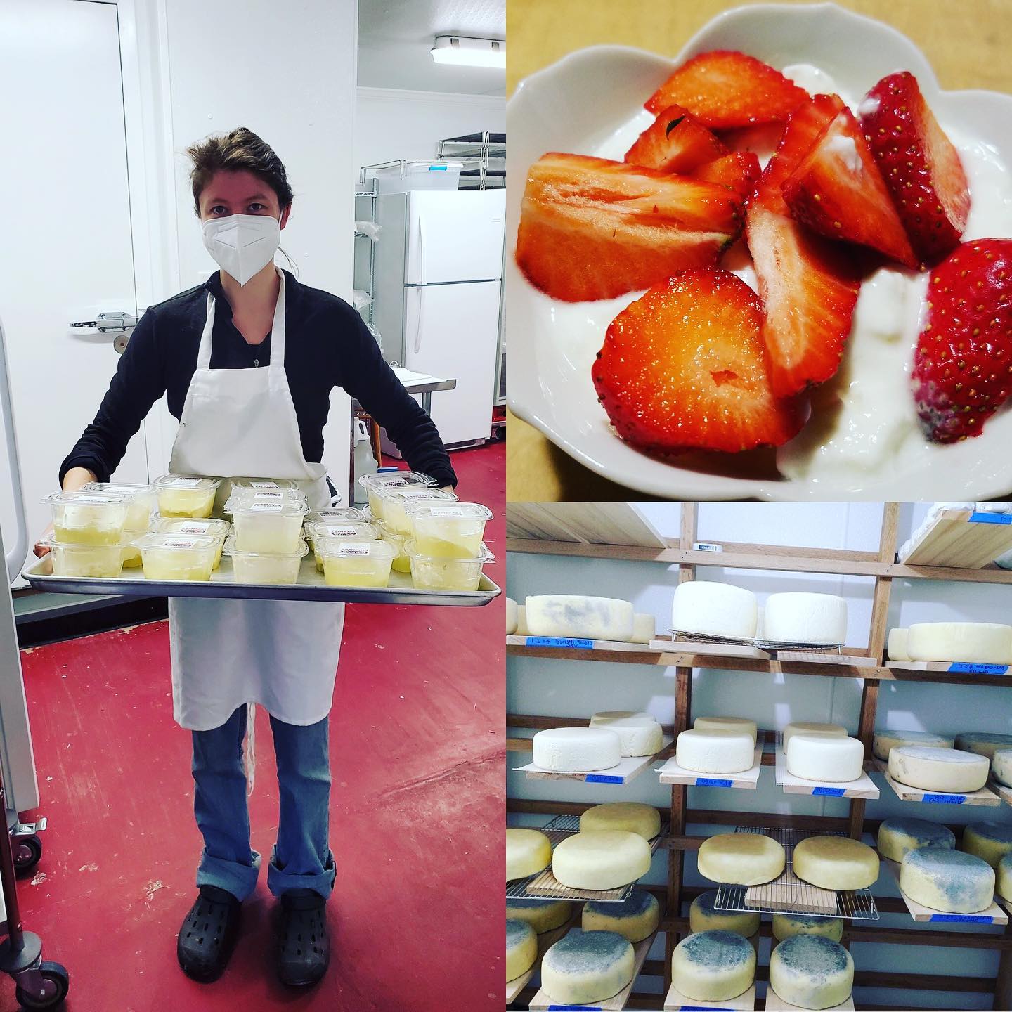 Raspberry Ridge Creamery dairy... - Emmaus Farmers' Market | Facebook
