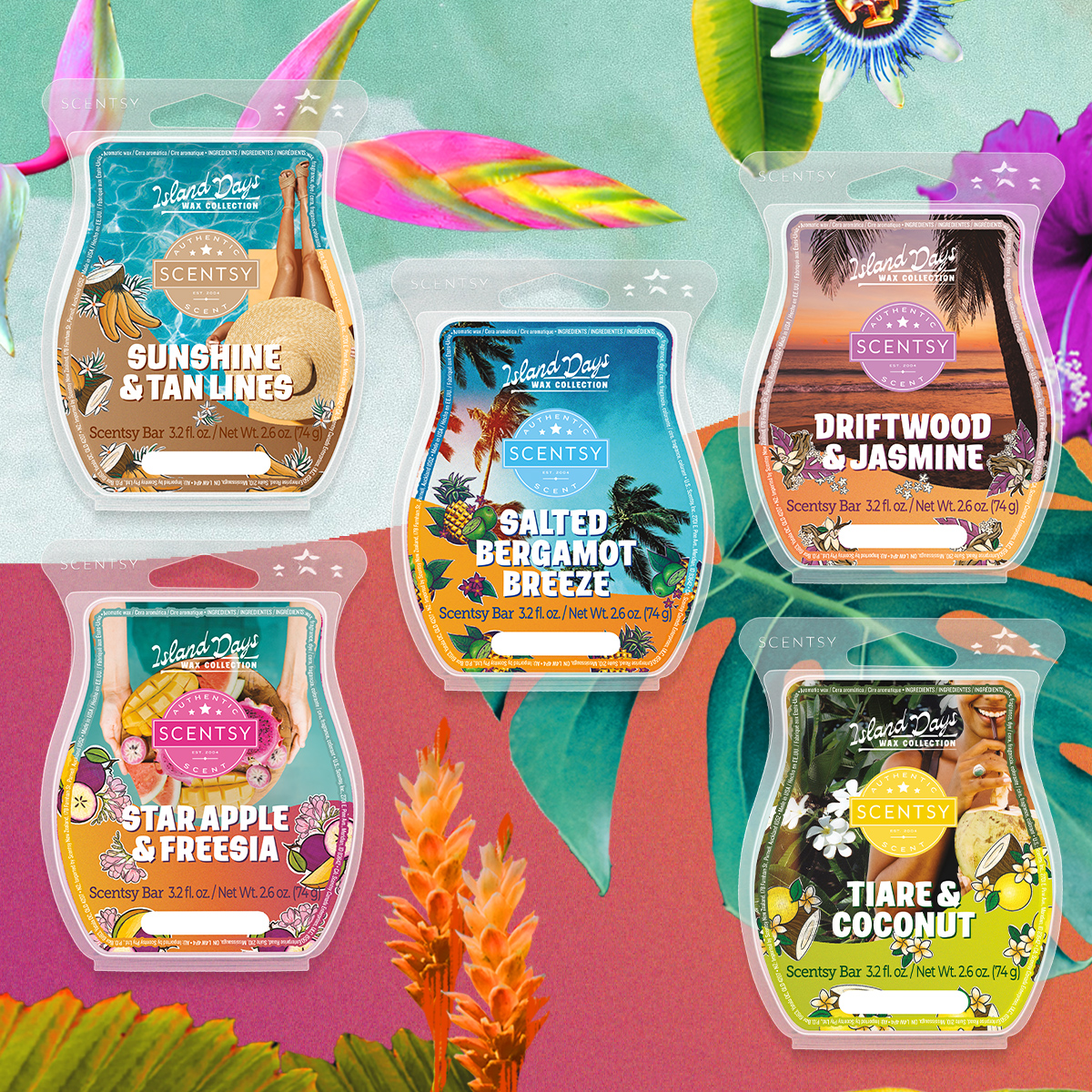 Catherine Conseillère indépendante Scentsy - 🌈 Collection Chase ...