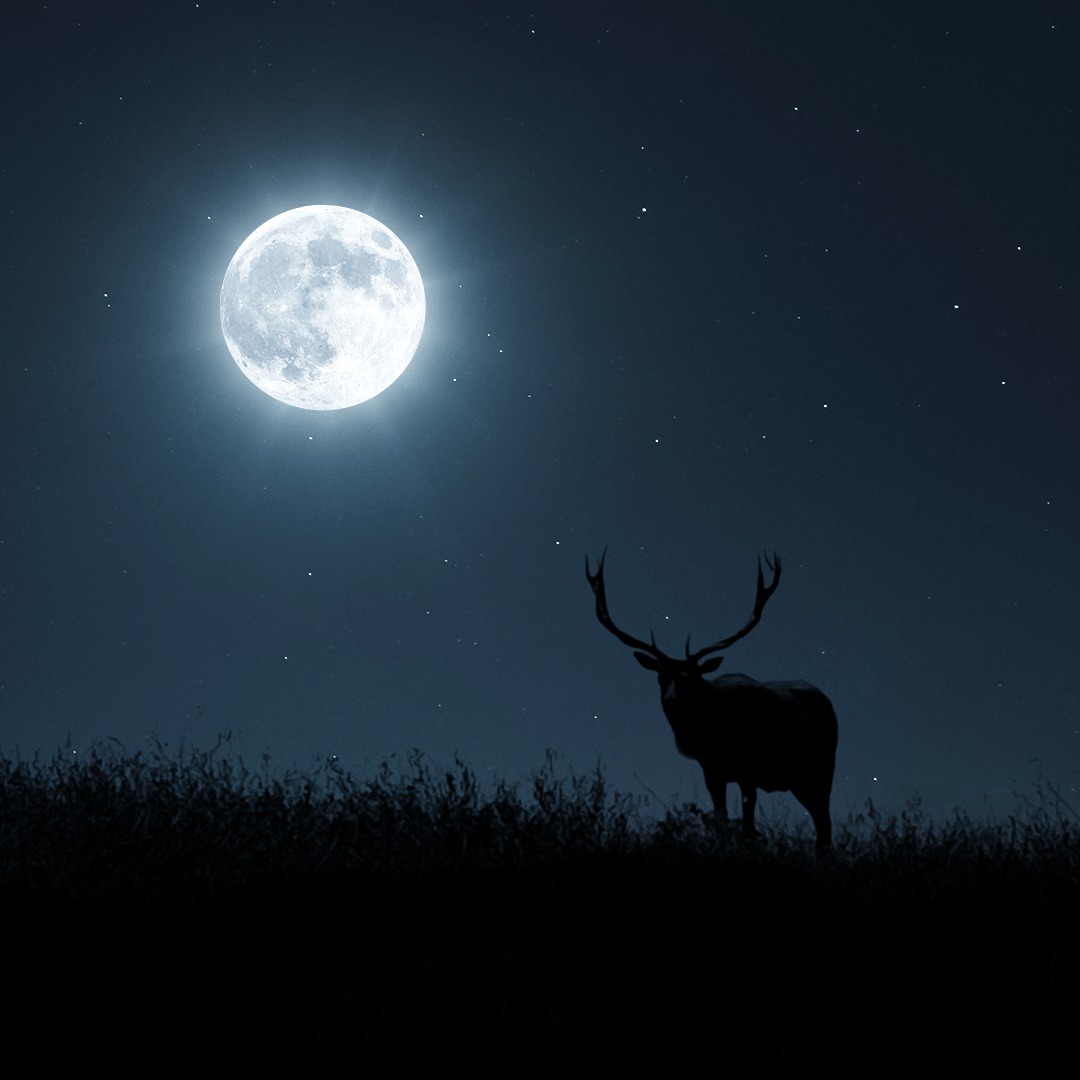 Star Walk - July brings us the biggest and brightest Supermoon of the ...