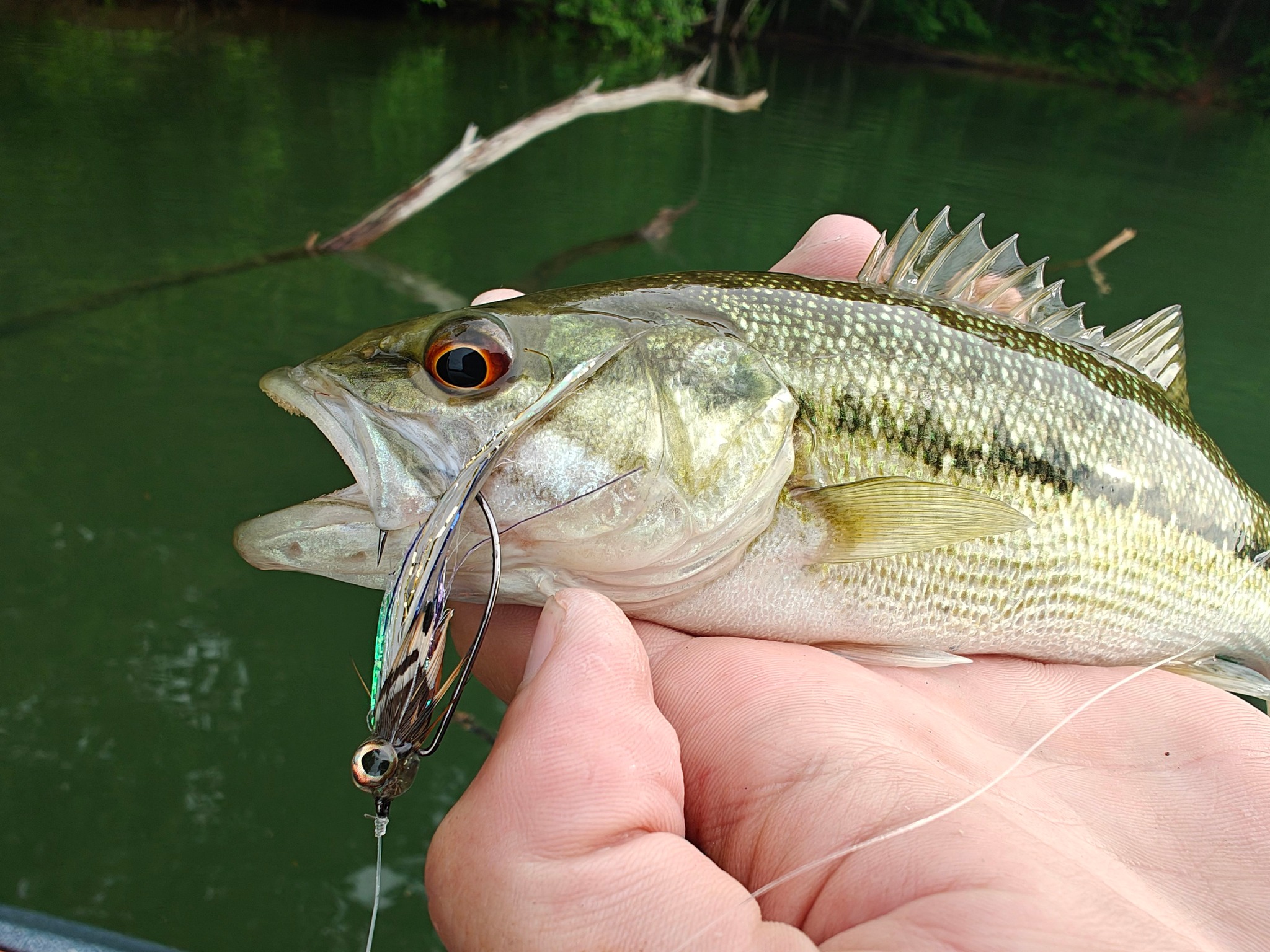 best fishing baits and lures 2019 Berkley Fusion19 Snap Jigs 1/2oz / Firetiger / 5/0 Baitcast Reel Walleye Fishing Size:3/0-4 pack Certainly one of the Fishing Holster
