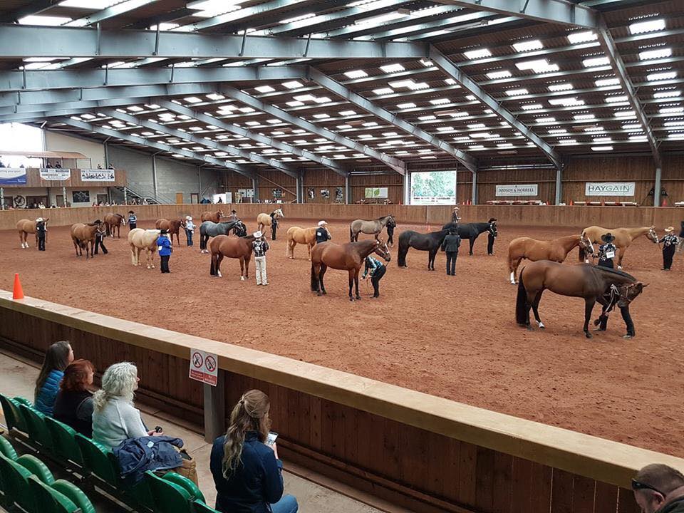 Oakridge Arena - The American Quarter Horse Association...
