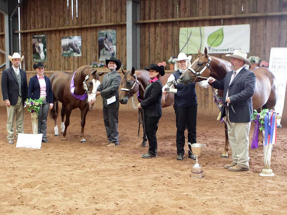 Oakridge Arena - The American Quarter Horse Association...