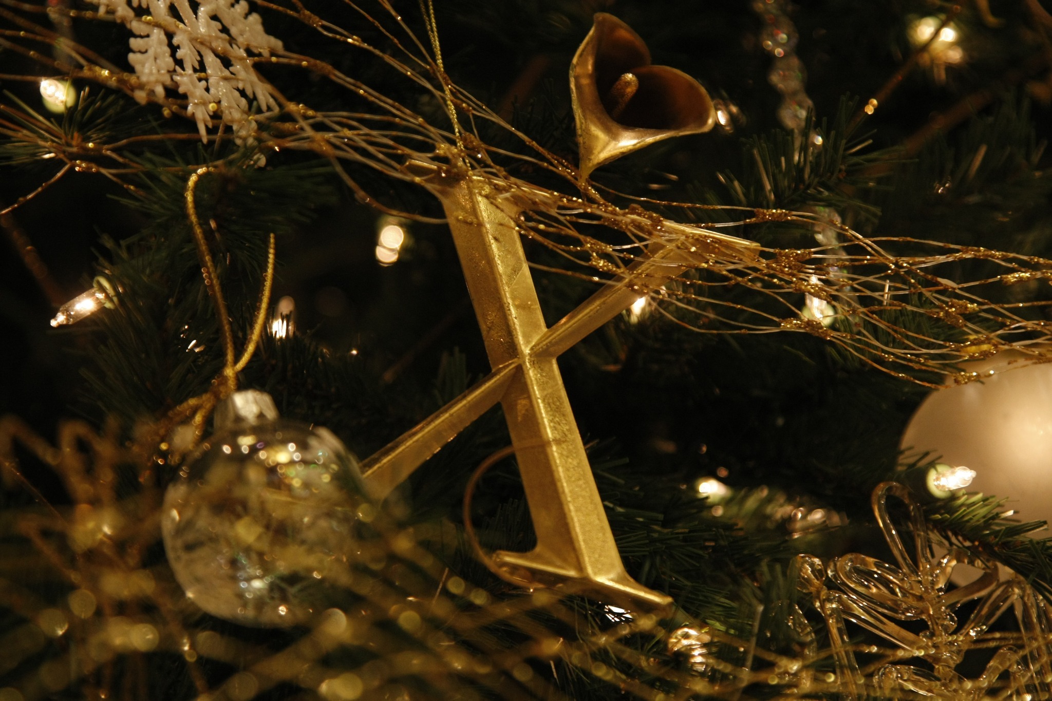 Xavier - 🎵All is calm, all is bright🎵 Xavier’s Father Ed Schmidt shares ...