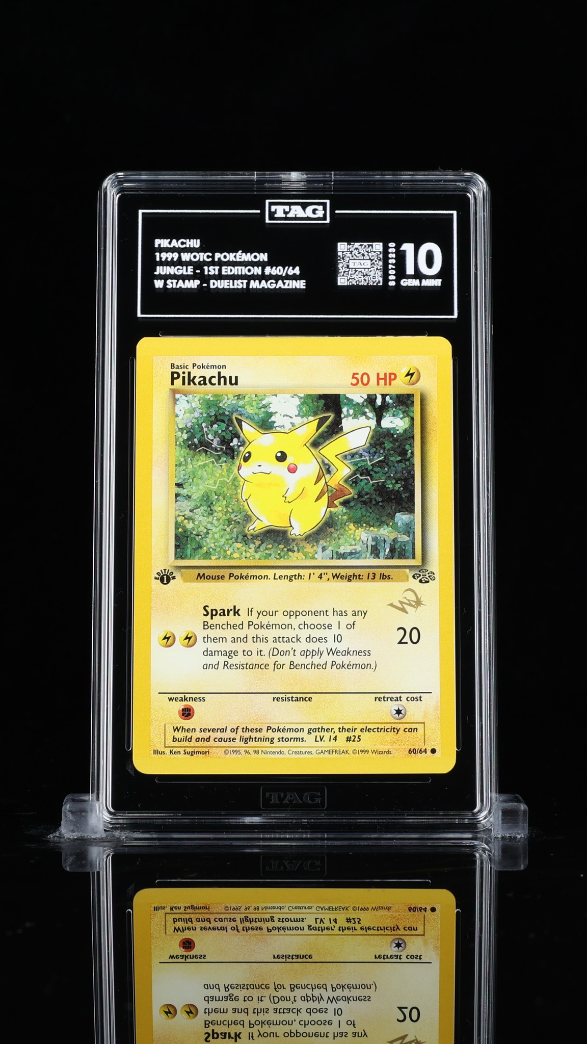 pikachu pokemon card 60/64 Jungle #60/64 Trading (Signed by Veronica Taylor)  Rotterdam Comics Pikachu 1999 Pokemon Jungle 1st