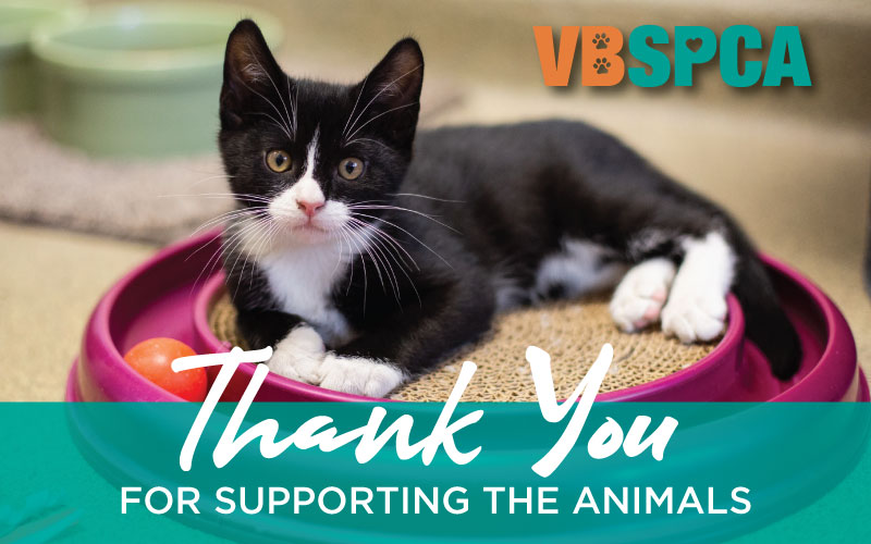 From our staff and animals, we want... - Virginia Beach SPCA