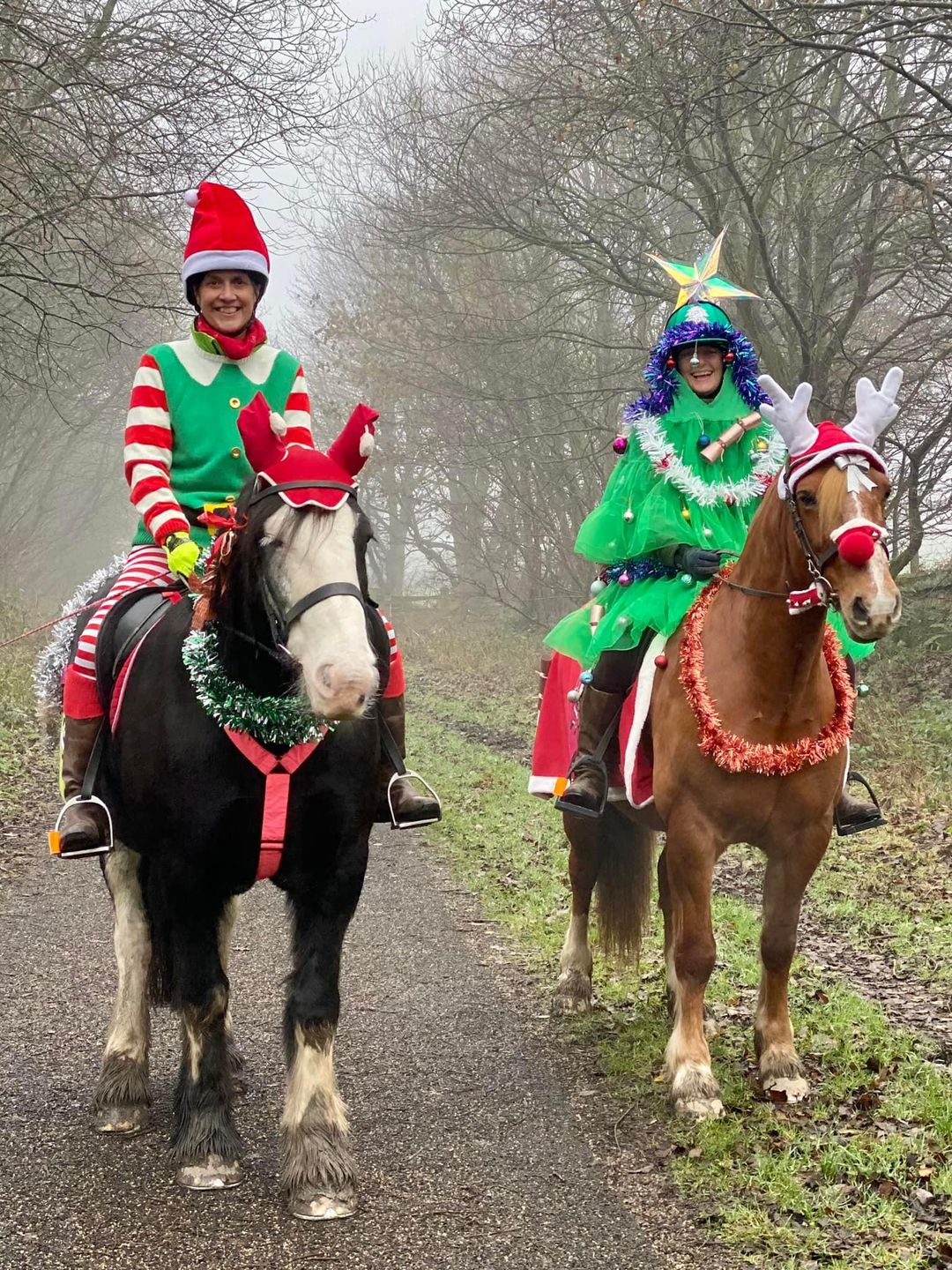 horse christmas dress up Do you your or pony in a festive outfit or decorate his tack with decorations at time? If so, we'd love to see them Size:US 26 Old Navy Maternity Full 7.25.26 Christmas parade 33” breastcollar