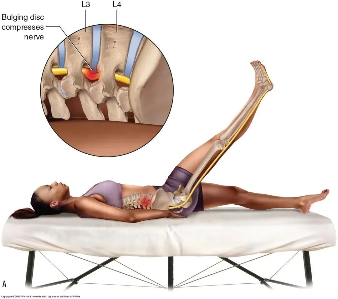 The Art and Science of Kinesiology - 🔹️ LearnMuscles.com 🔹️ Excellence ...