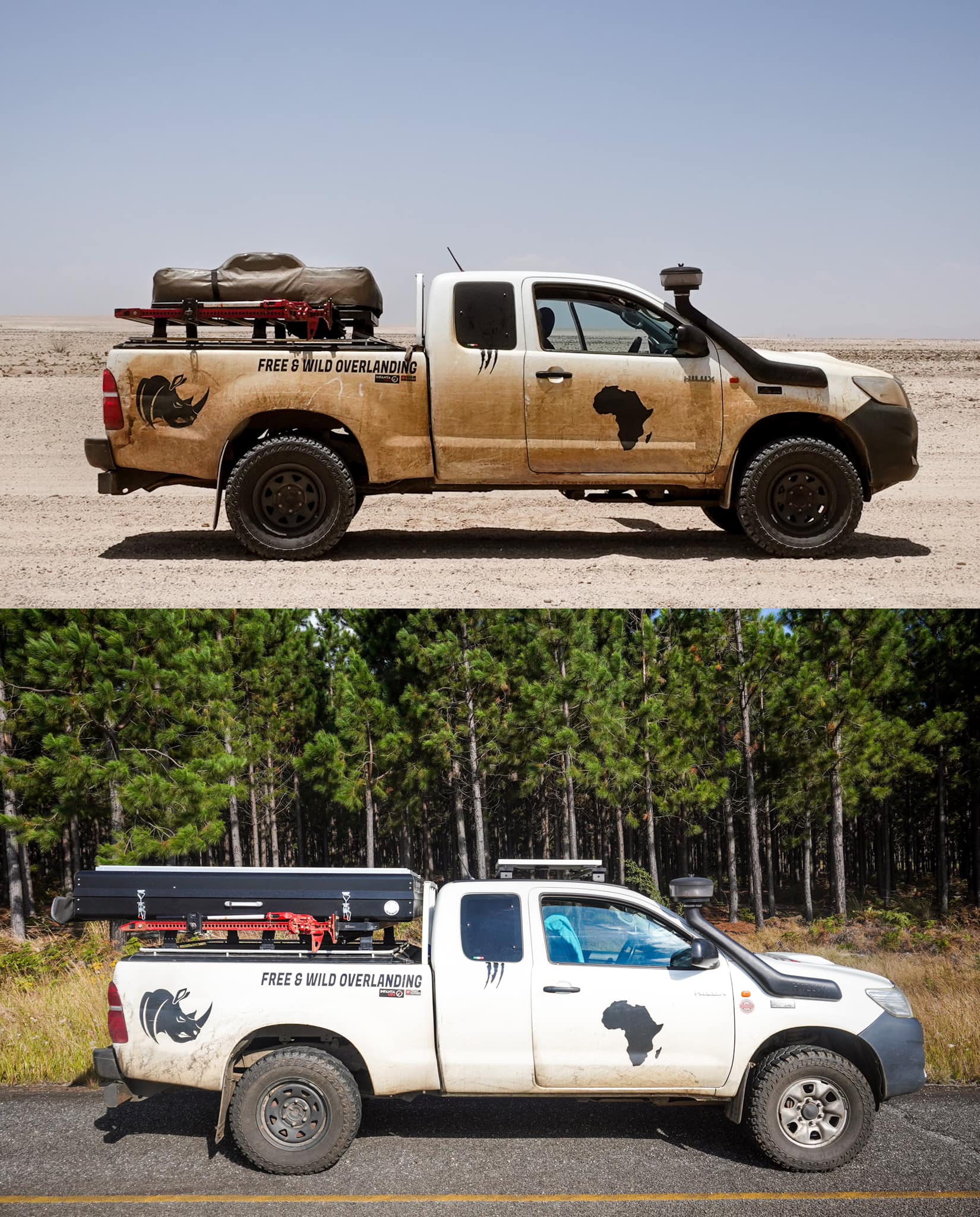 BEFORE / AFTER PHOTOS OF RAFIKI... - Charline Overlanding | Facebook