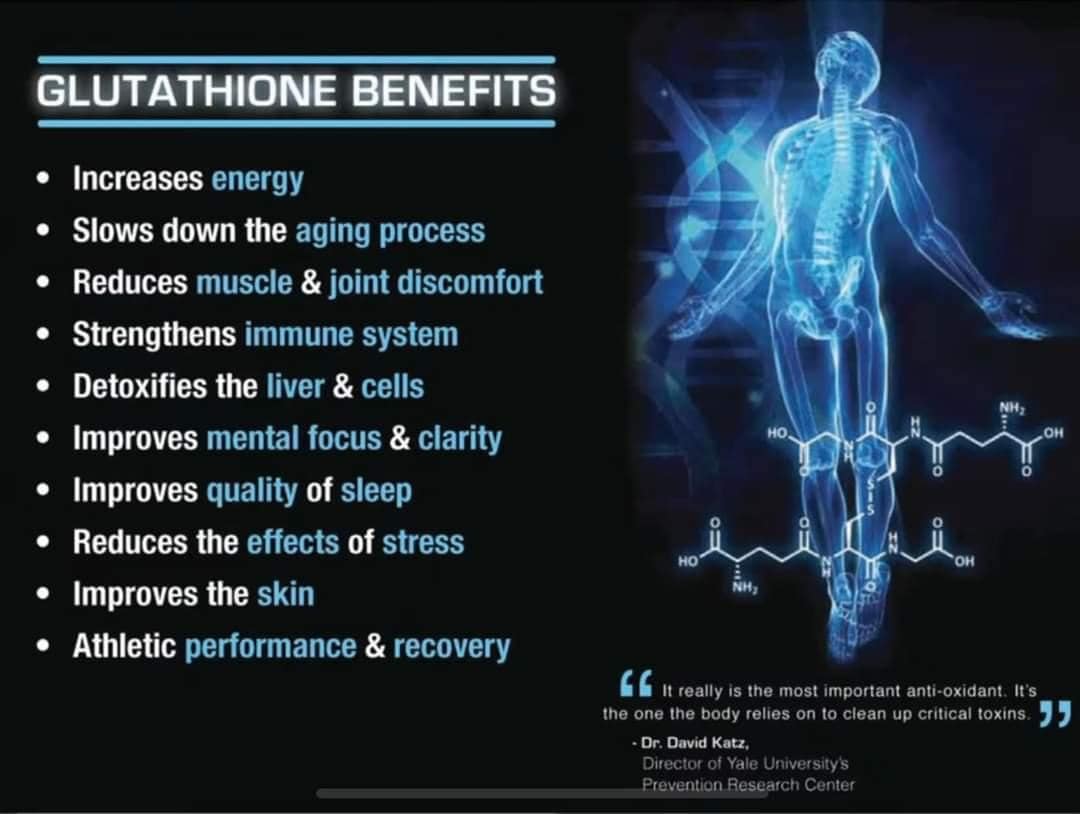 Glutathione's role in cellular aging and mitochondrial protection