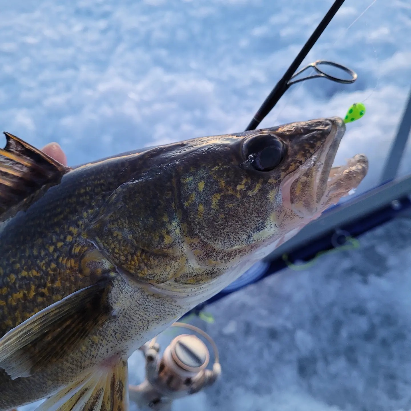 best night fishing lures for walleye LURESMEOW Spoons & Blade Baits Bass, Walleye, Trout Best Walleye Lures For 2026