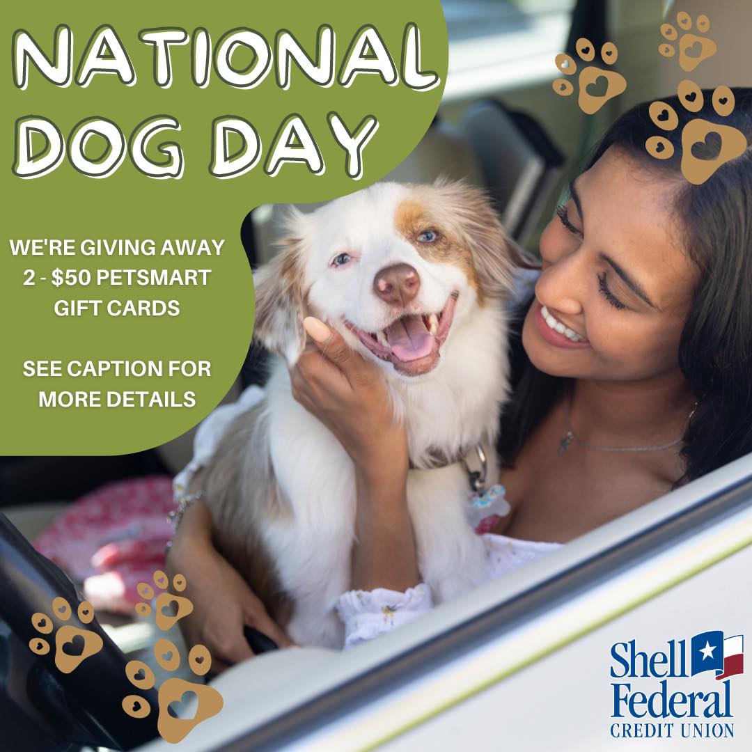 Happy National Dog Day! 🐶 To... - Shell Federal Credit Union | Facebook