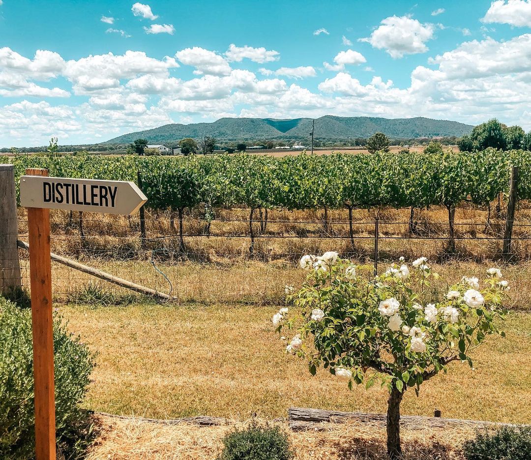 Mudgee Region - All signs point to distilled goodness at Baker Williams ...