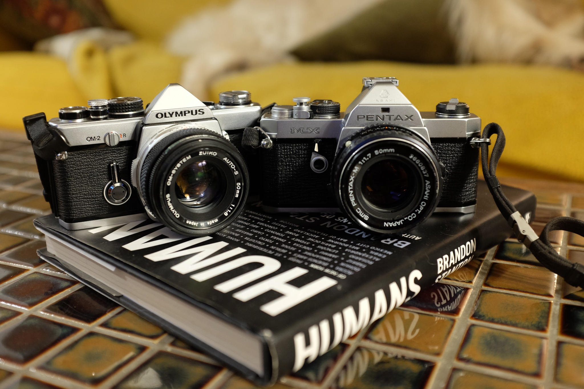 Olympus and Pentax compact SLR cameras compared