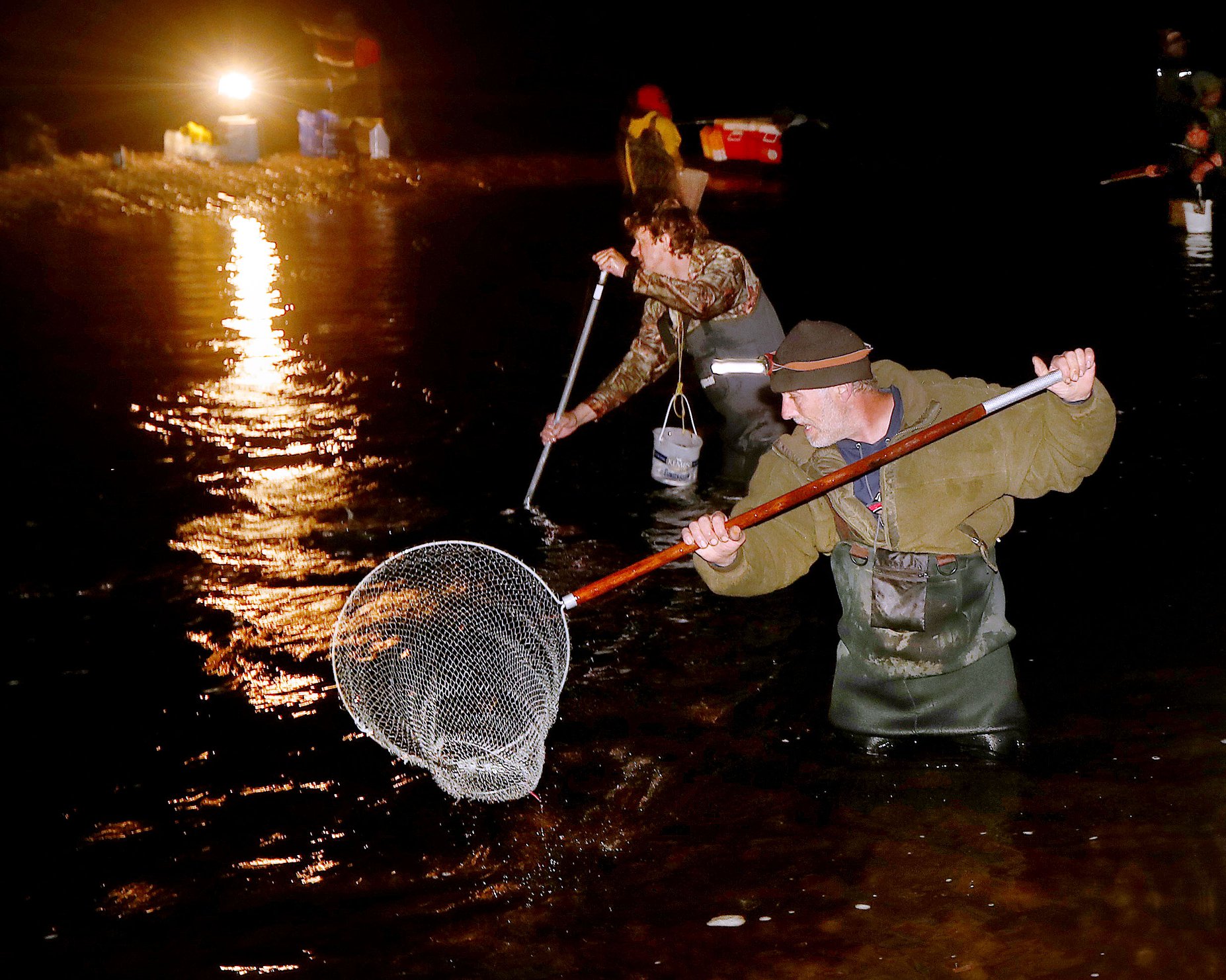 dip net fishing for smelt Multi Bait Smelt and Shad Dip Nets