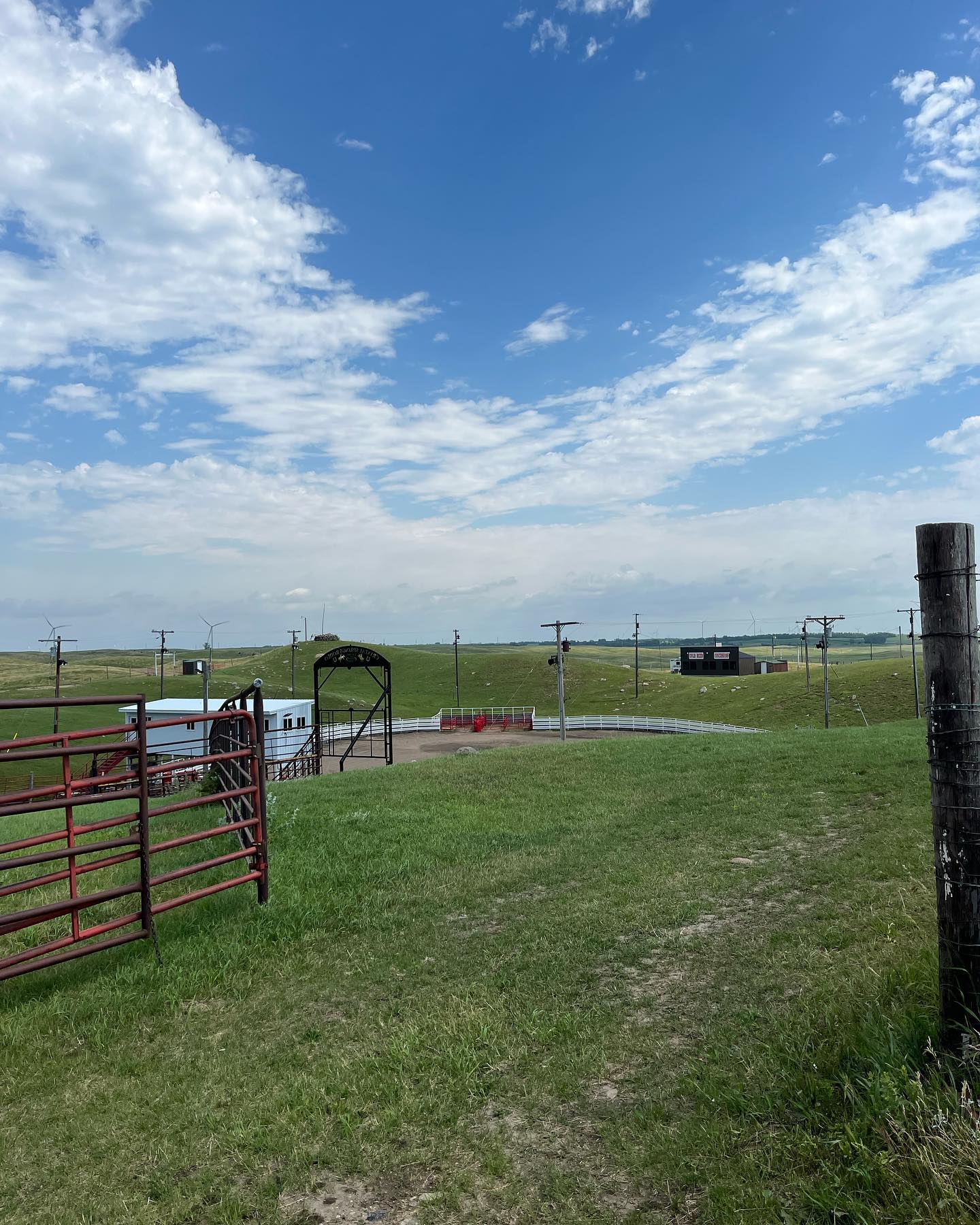 Happy New Year from CSRodeo! Here... - Crystal Springs Rodeo