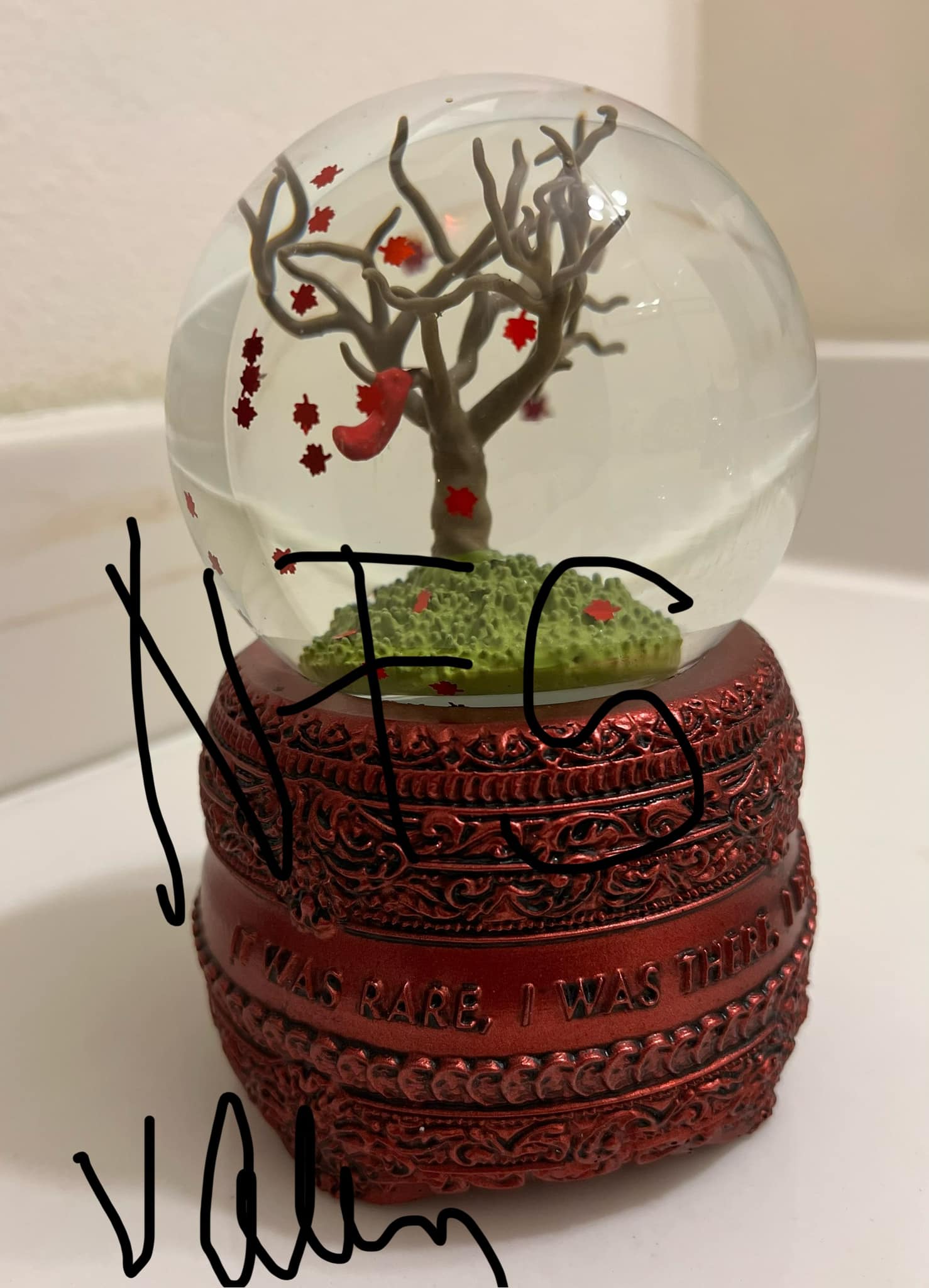Taylor Swift's All Too Well snow globe found after months of searching
