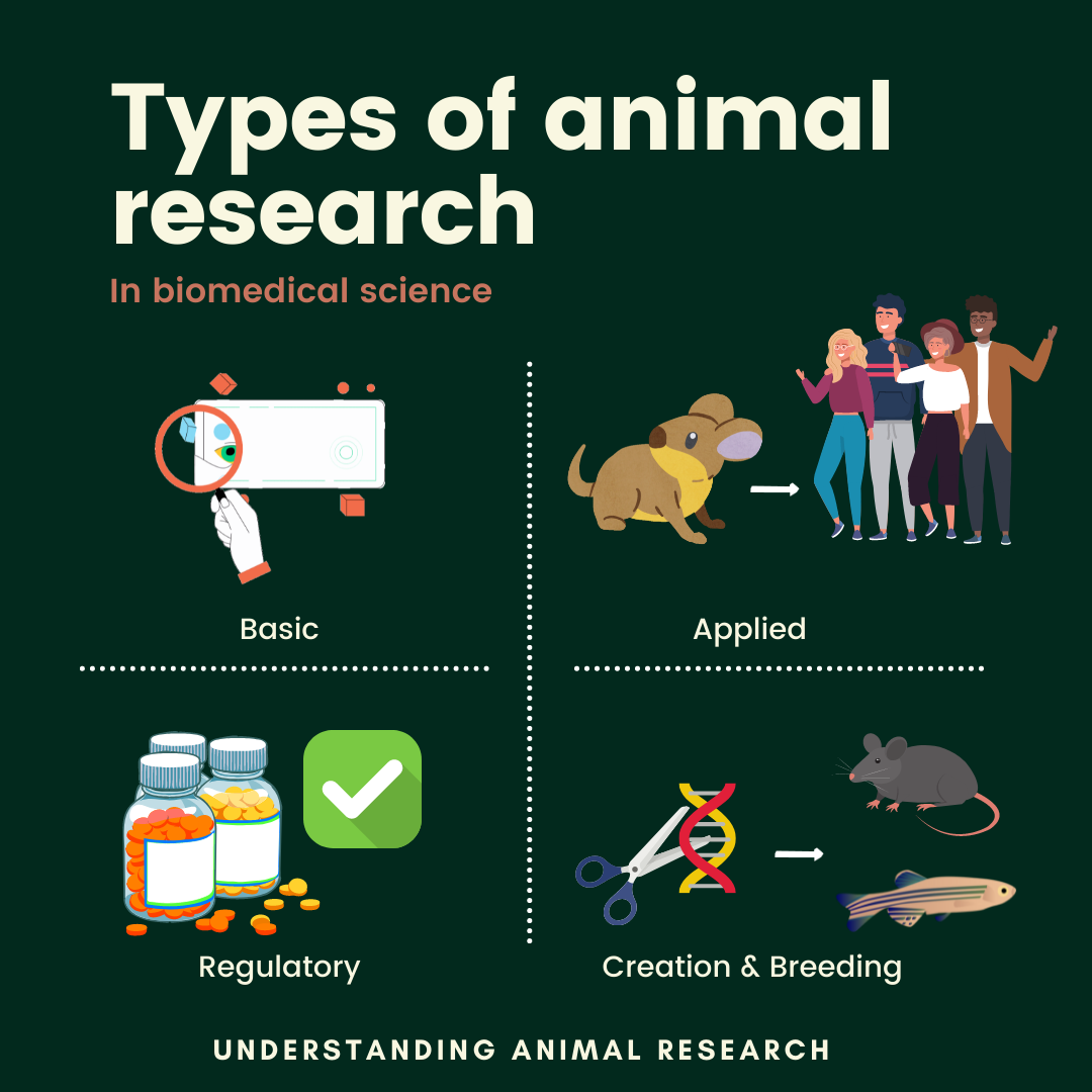 Animals Used In Biomedical Research