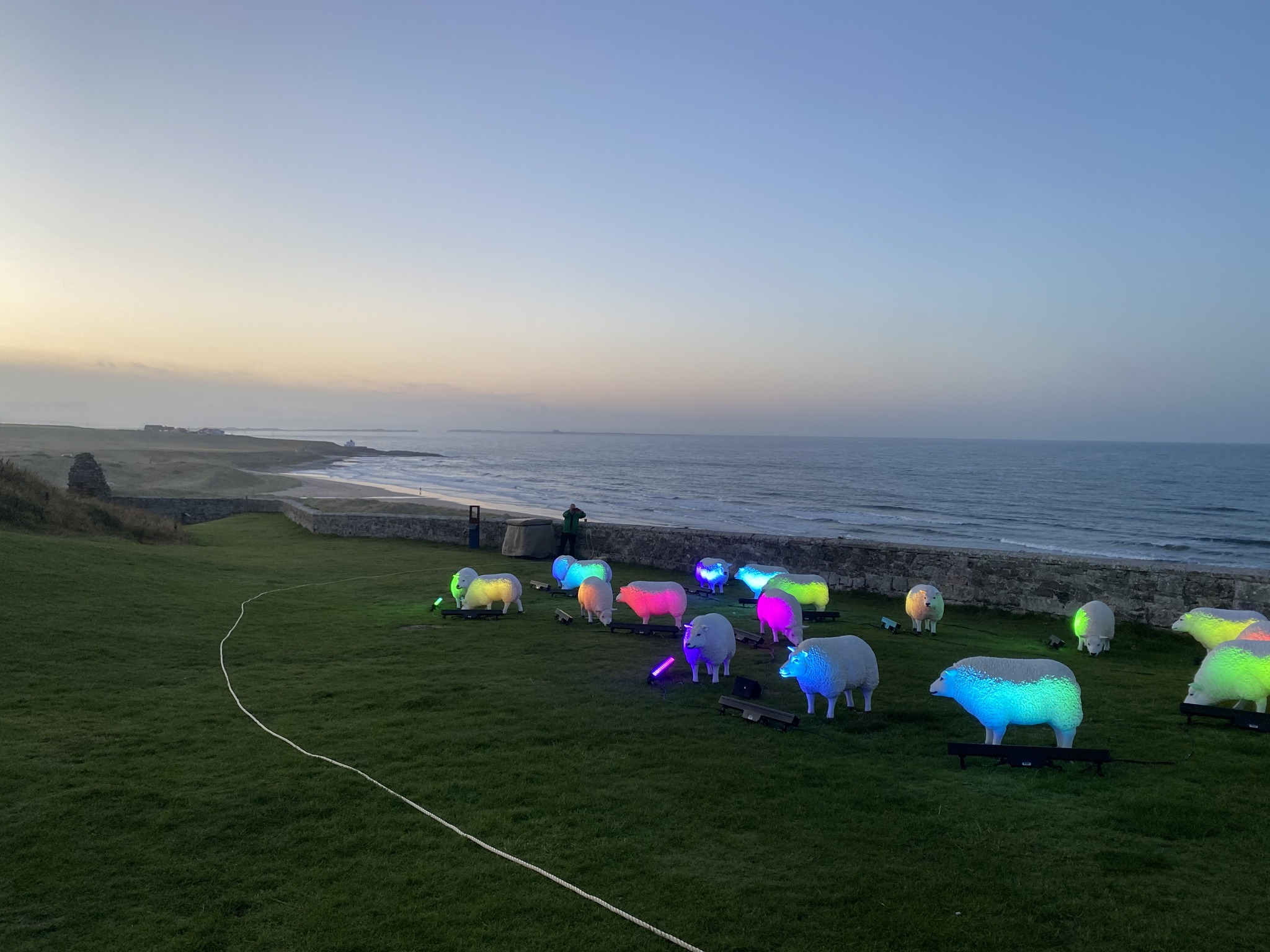 Visit - Have ewe herd about the Illuminated Sheep in #Northumberland 🐑 ...