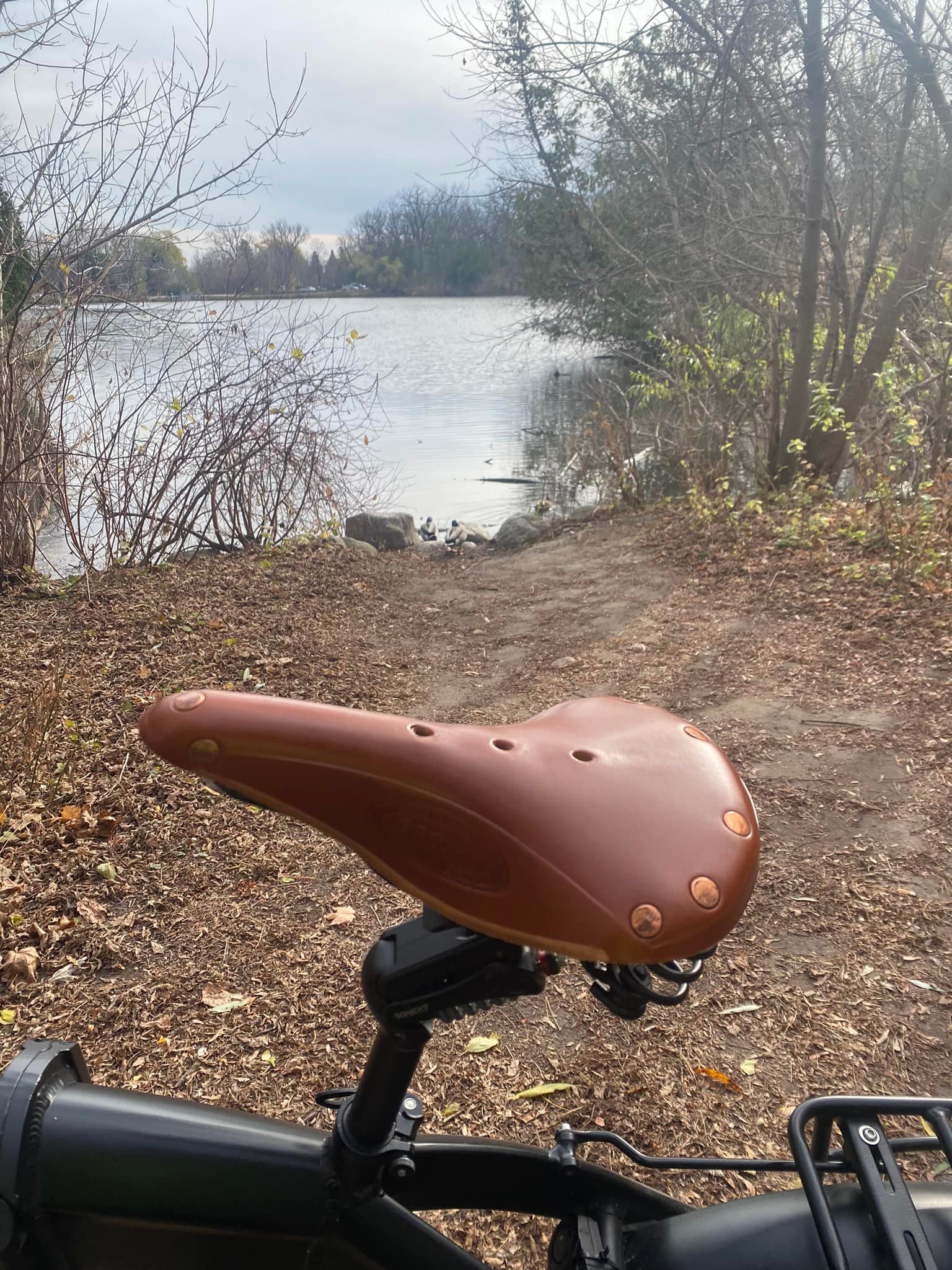 New Brooks B17 Flyer Special saddle