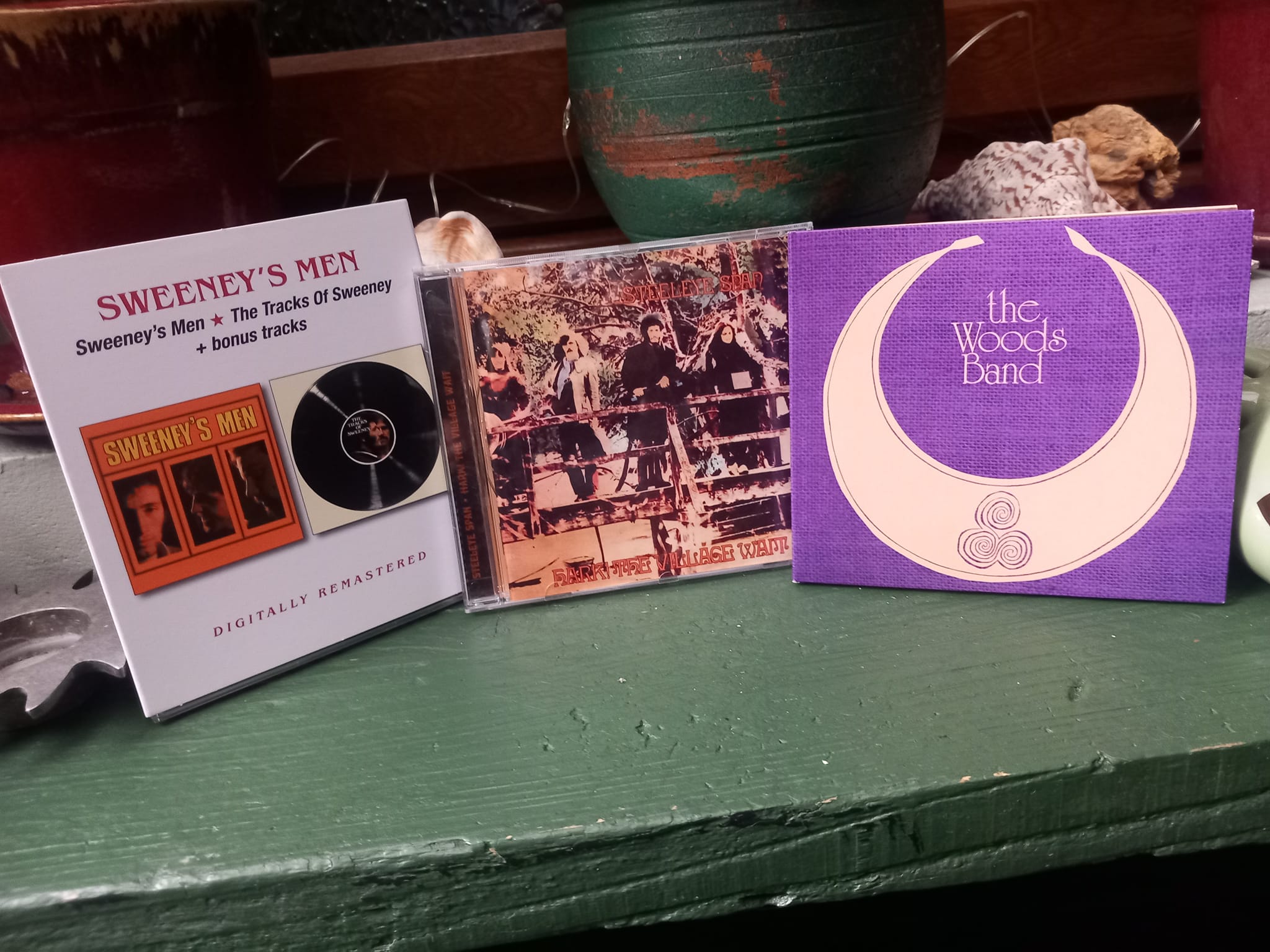 Discovering rare 1975 album Gay and Terry Woods Backwoods