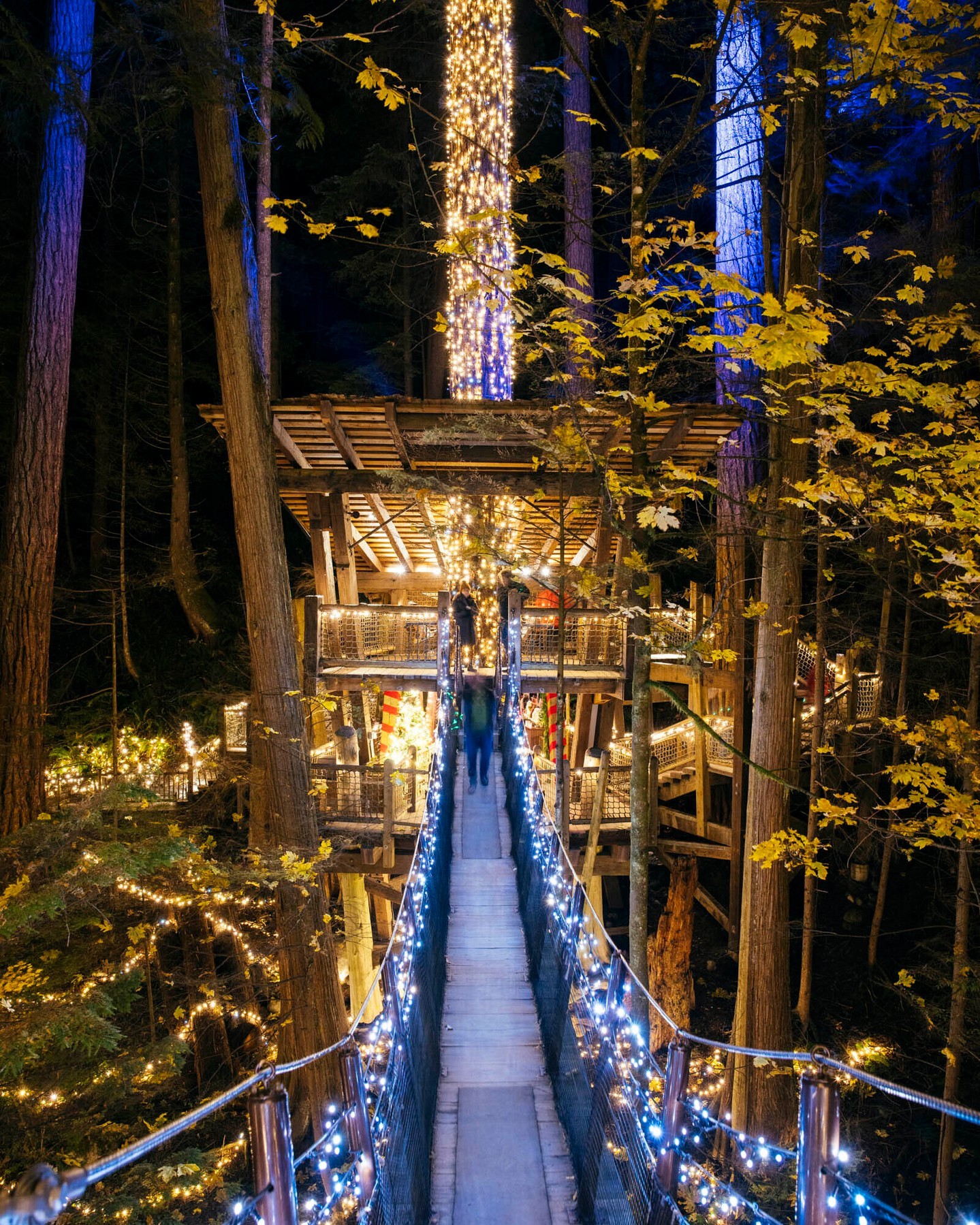 🎄 Rocking around the... - Capilano Suspension Bridge Park | Facebook