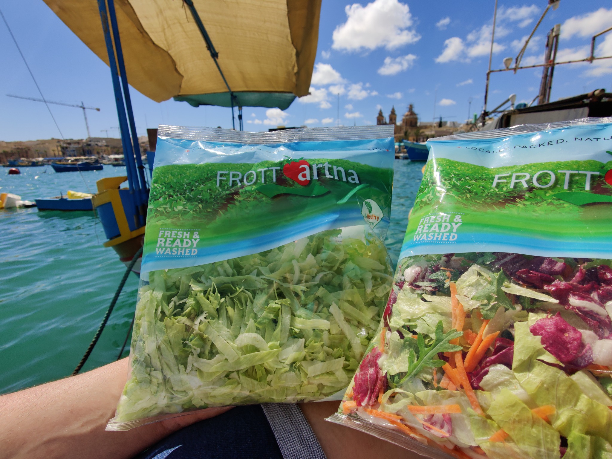 Frott Artna - 𝗙𝗿𝗼𝘁𝘁 𝗔𝗿𝘁𝗻𝗮’𝘀 𝗦𝗵𝗿𝗲𝗱𝗱𝗲𝗱 𝗜𝗰𝗲𝗯𝗲𝗿𝗴 𝗮𝗻𝗱 𝗚𝗮𝗿𝗱𝗲𝗻... | Facebook