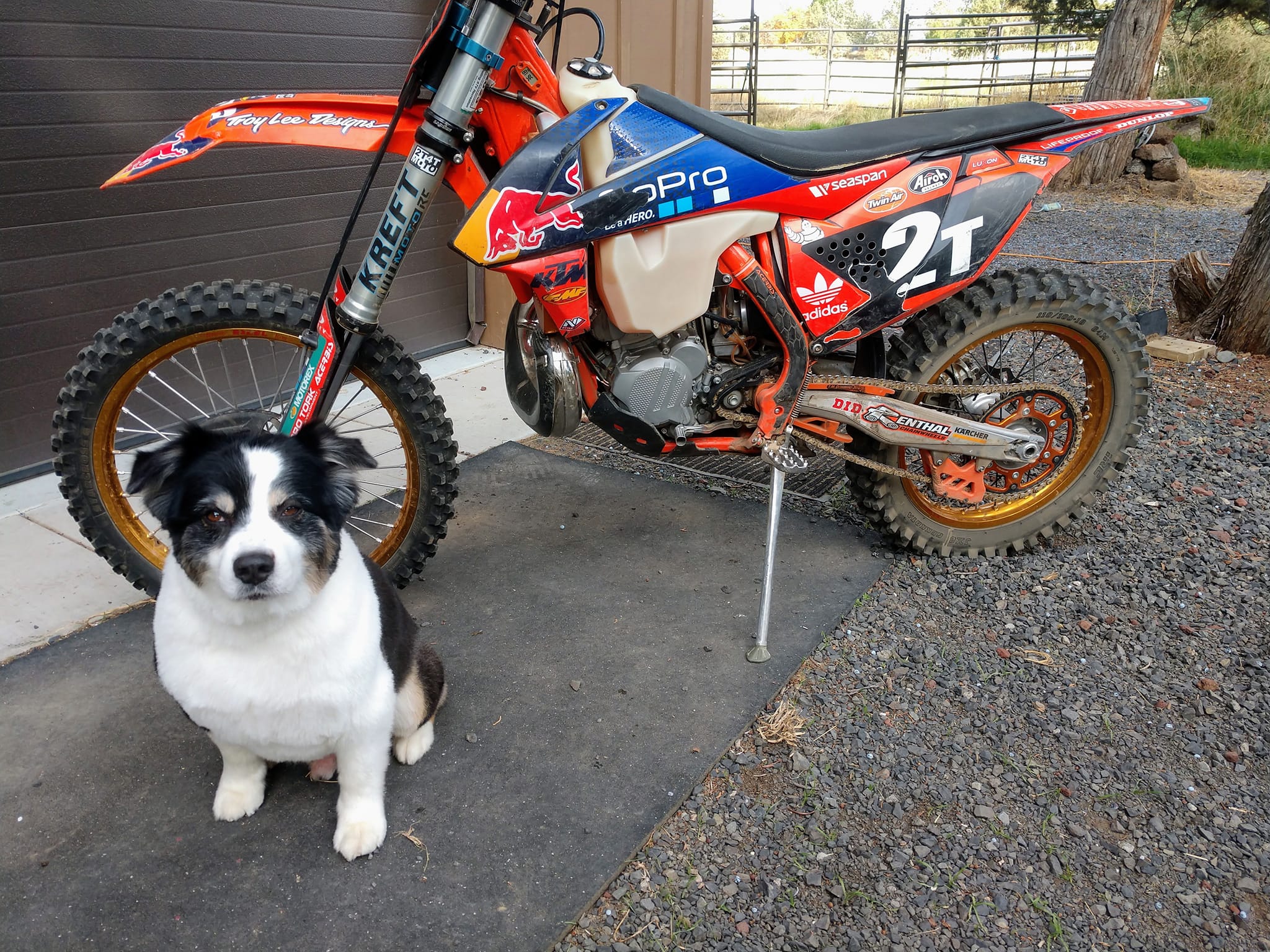 What are good mid-range motocross boots for a 13-year-old?