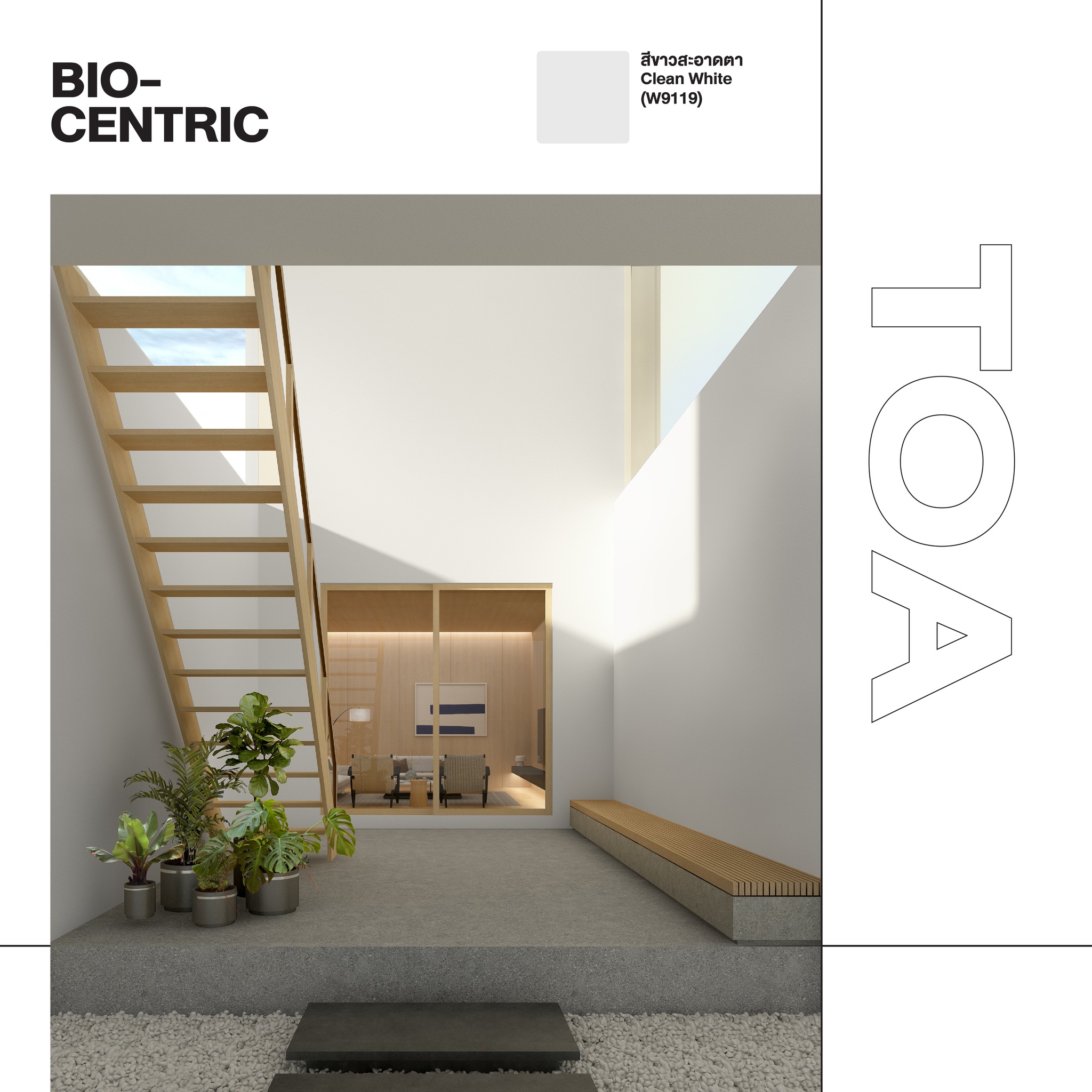 TOA - New TOA Color Trends 2022 ★ BIO-CENTRIC CLEAN... | Facebook