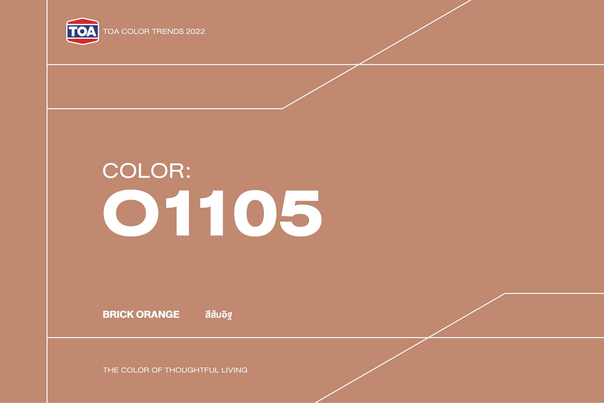 TOA - New TOA Color Trends 2022 ★ AUTHENTIC IMPRESS ... | Facebook