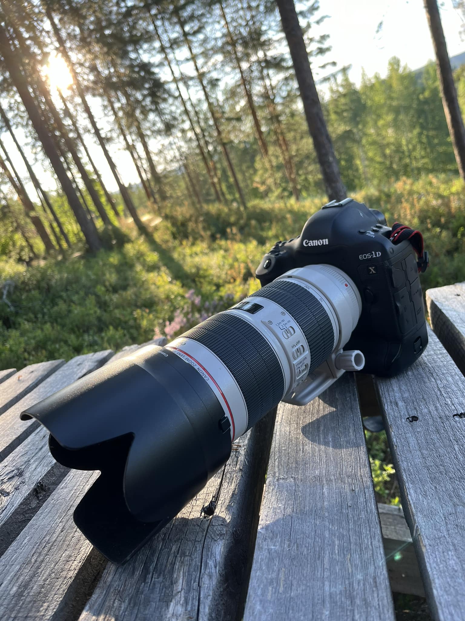 Canon 1Dx + EF 70-200mm F/2.8L IS III USM