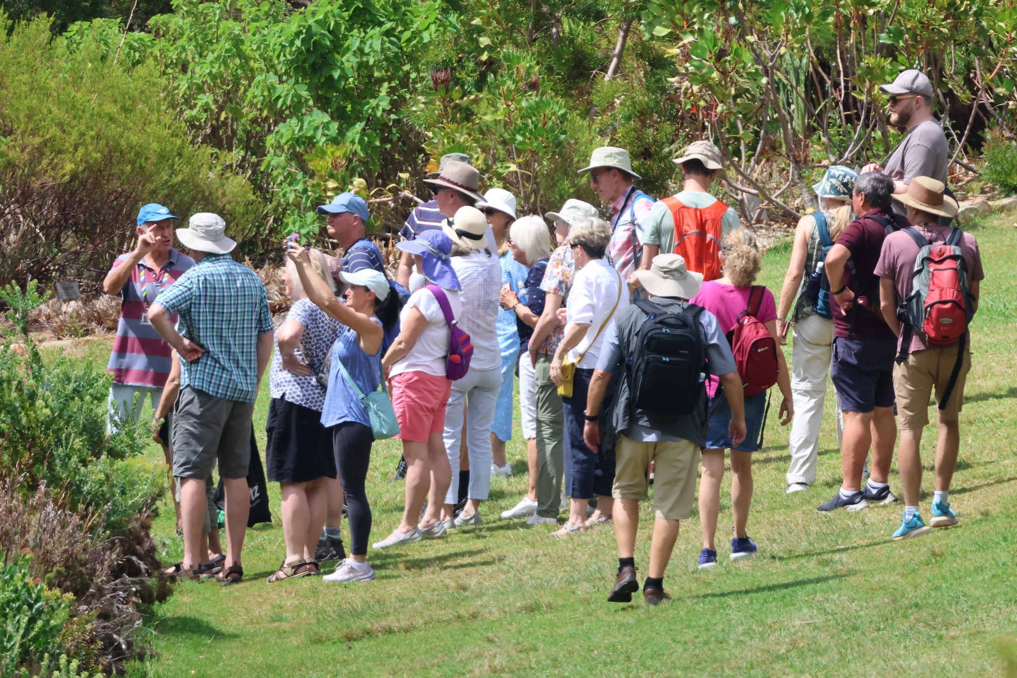 Kirstenbosch garden ends low-cost entry for South African citizens