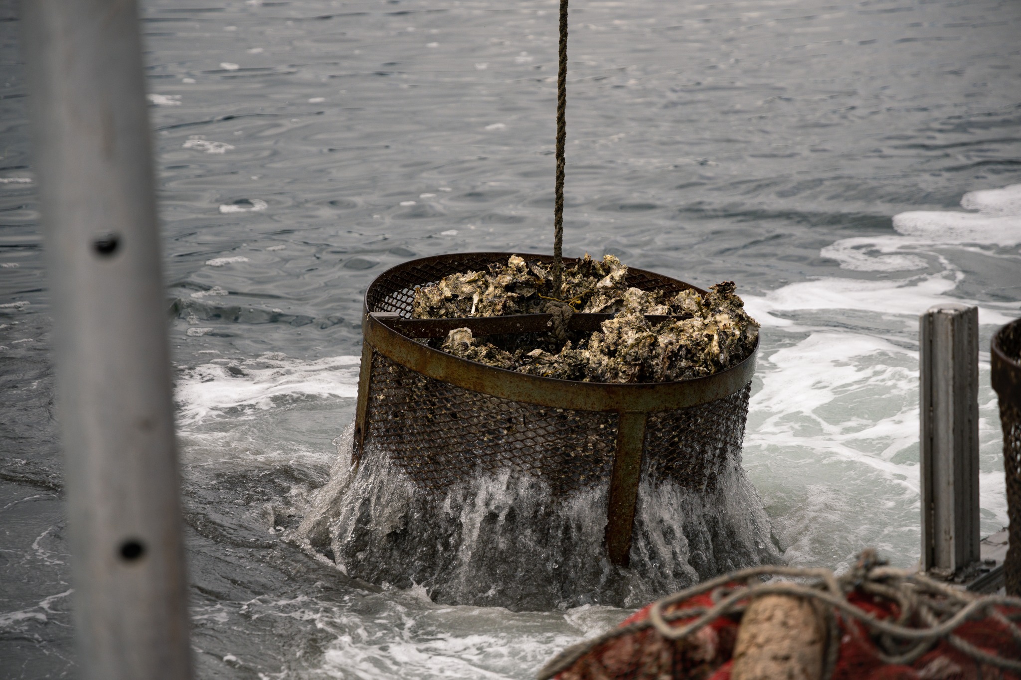 Happy... - Pacific Coast Shellfish Growers Association | Facebook
