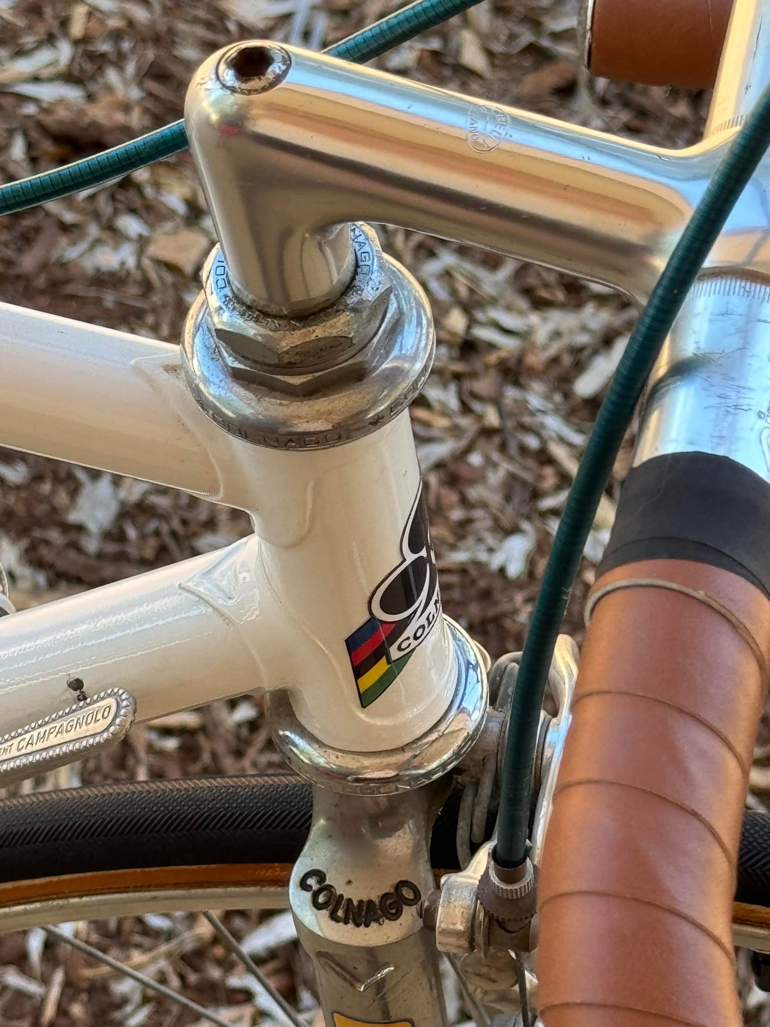 Vintage Colnago Junior for sale in Dubbo NSW