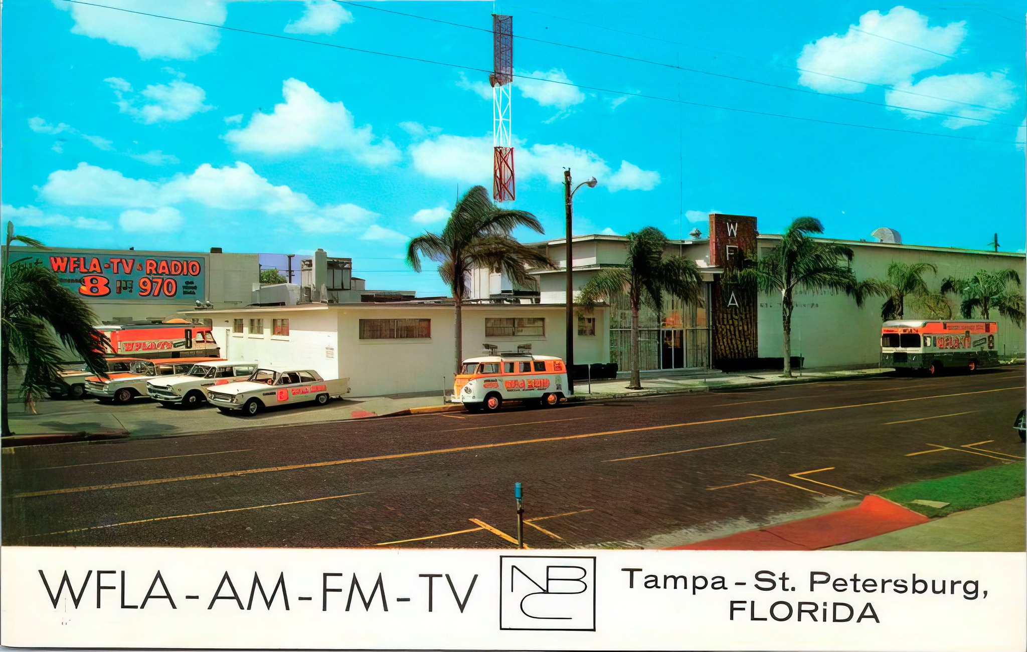 WFLA Meet the Team - News Anchors, Weather Team & History