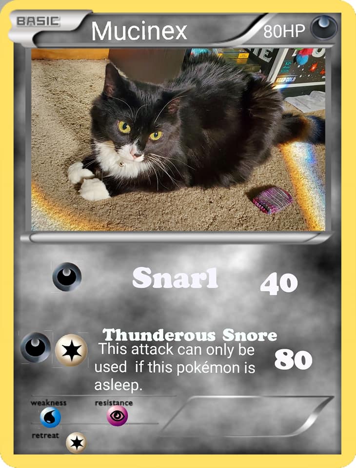 cat pokemon card - Meowth 052/165 - Pokemon 151 - Reverse Foil Glameow | Battle Styles |