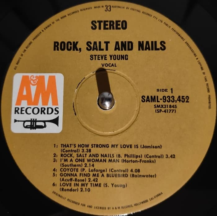 Steve Young's Album Rock Salt & Nails Review and Appreciation