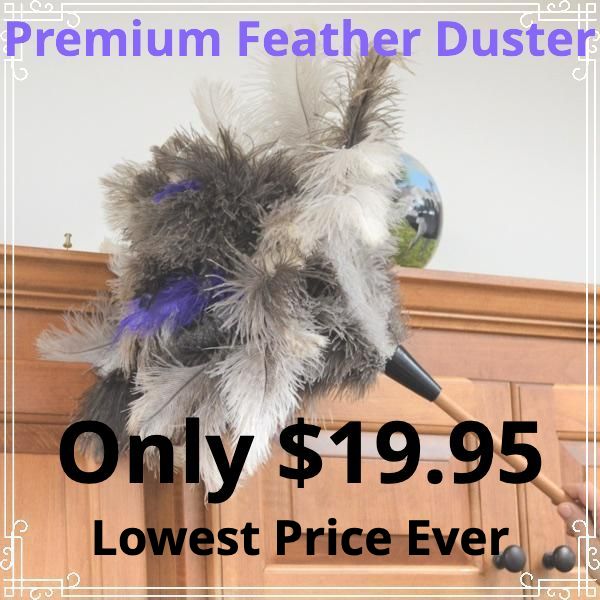 The FlyLady - Best Deal Ever on Our Premium Feather Duster! https ...