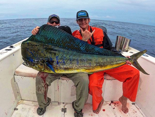Whats the biggest mahi you have ever seen? Post a pic