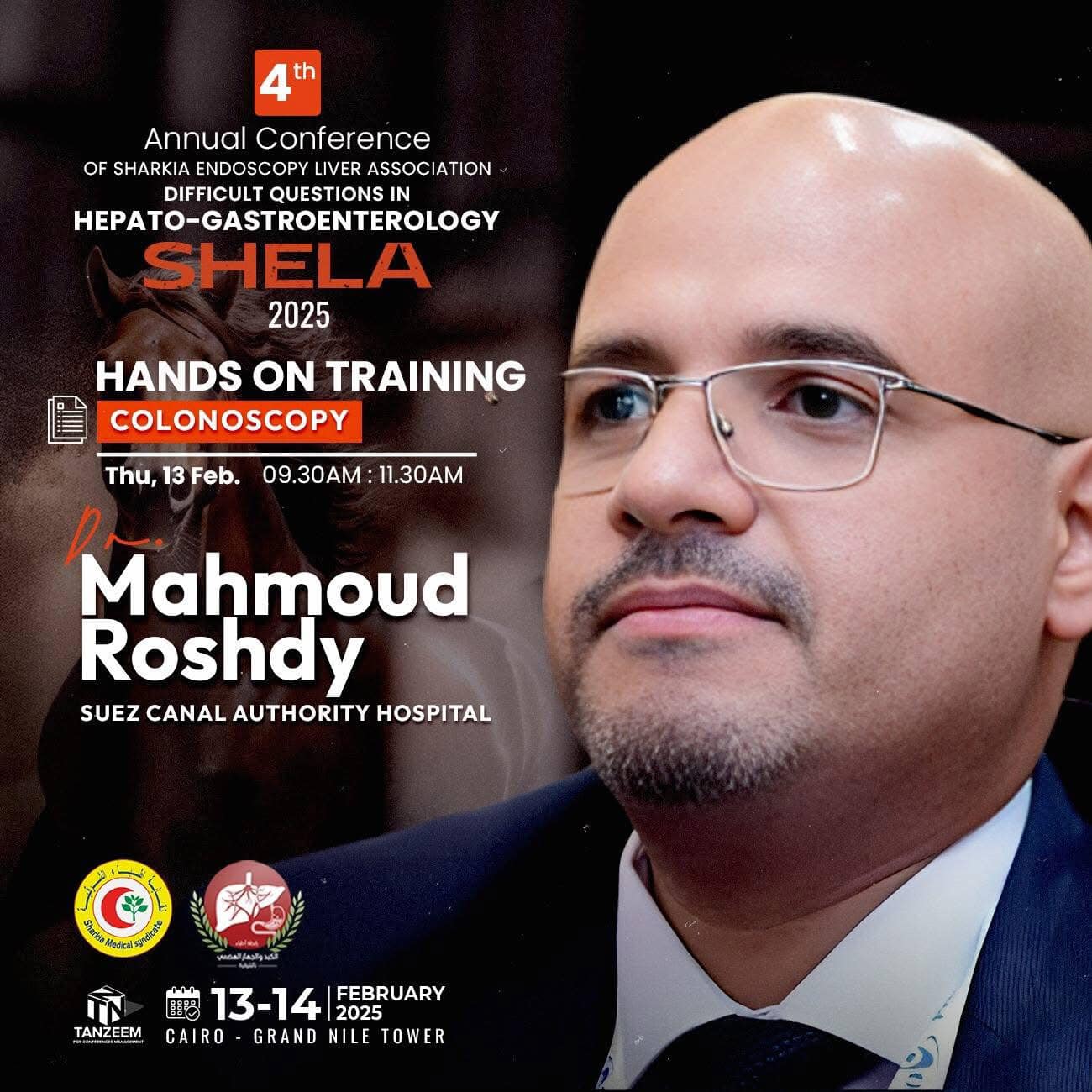 Mahmoud Roshdy Haggag