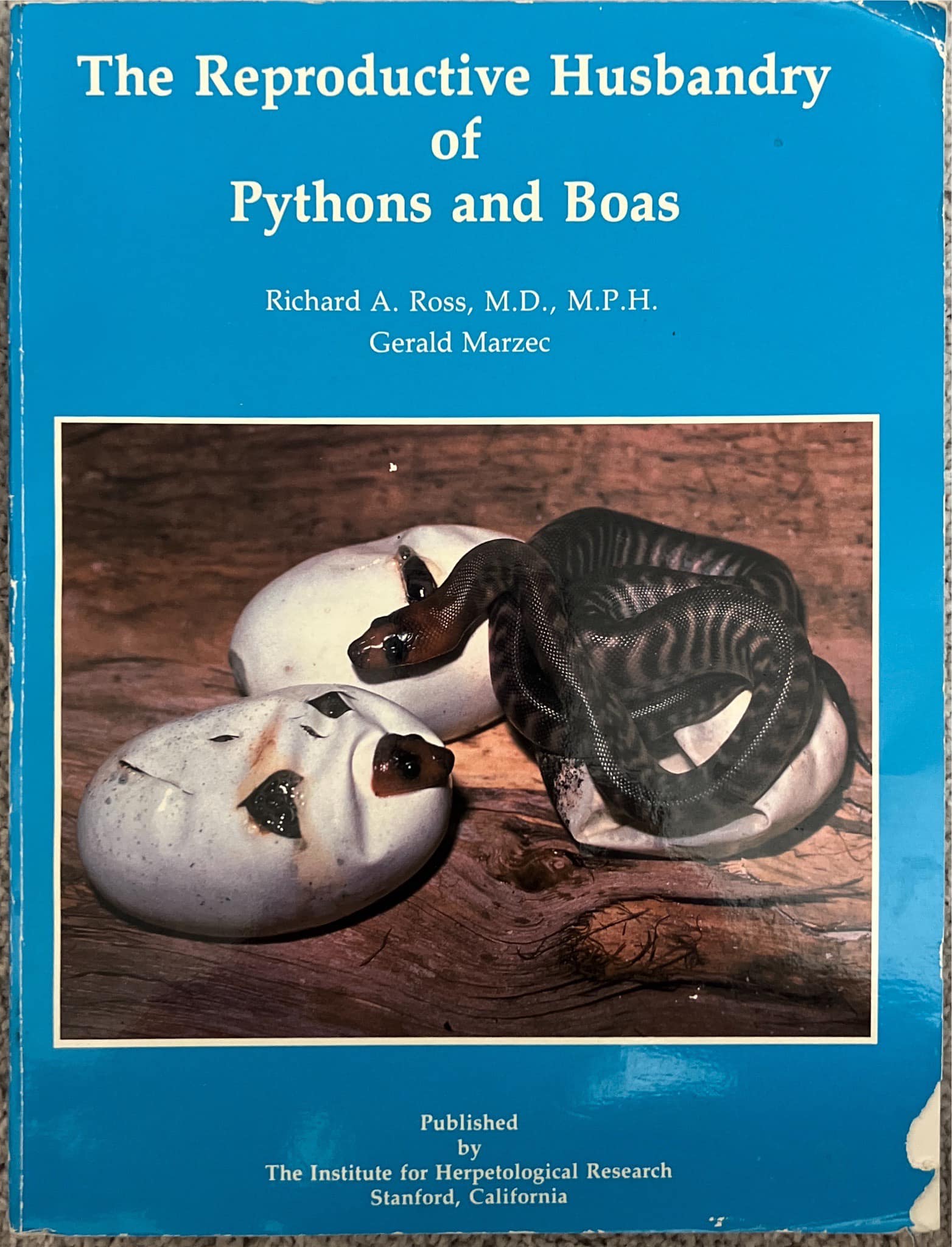 THE COMPLETE RETICULATED PYTHON 洋書 図鑑 THE COMPLETE RETICULATED PYTHON 洋書 図鑑 The Complete Reticulated