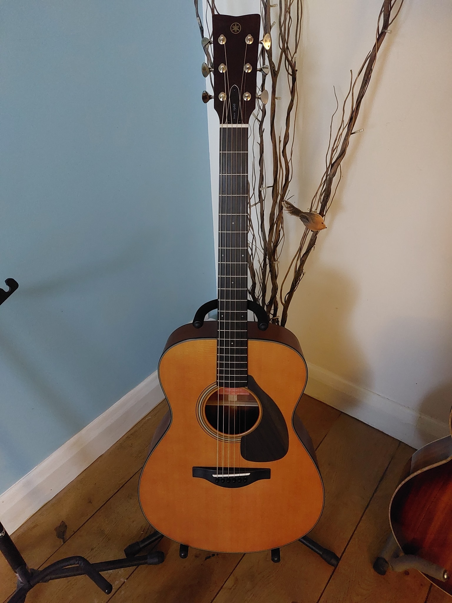 Yamaha FG750S Guitar Purchase and Initial Impression
