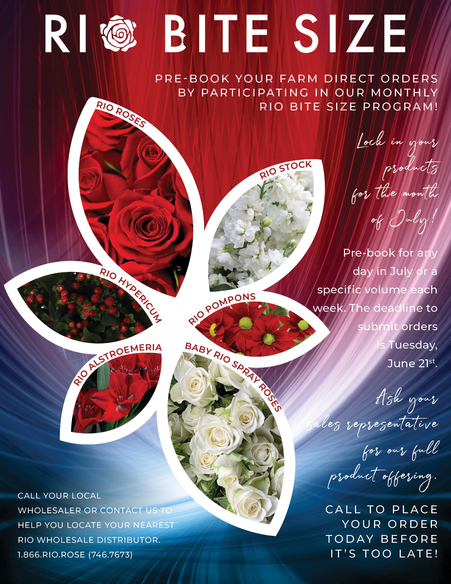 Rio Roses - Pre-book your farm direct orders by... | Facebook