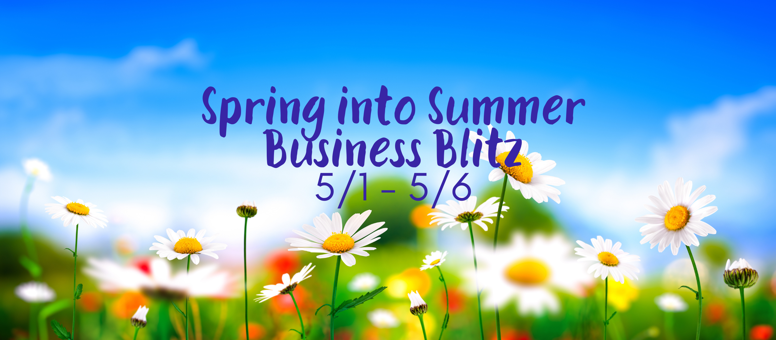 Spring into Summer Business Blitz! Public Group | Facebook