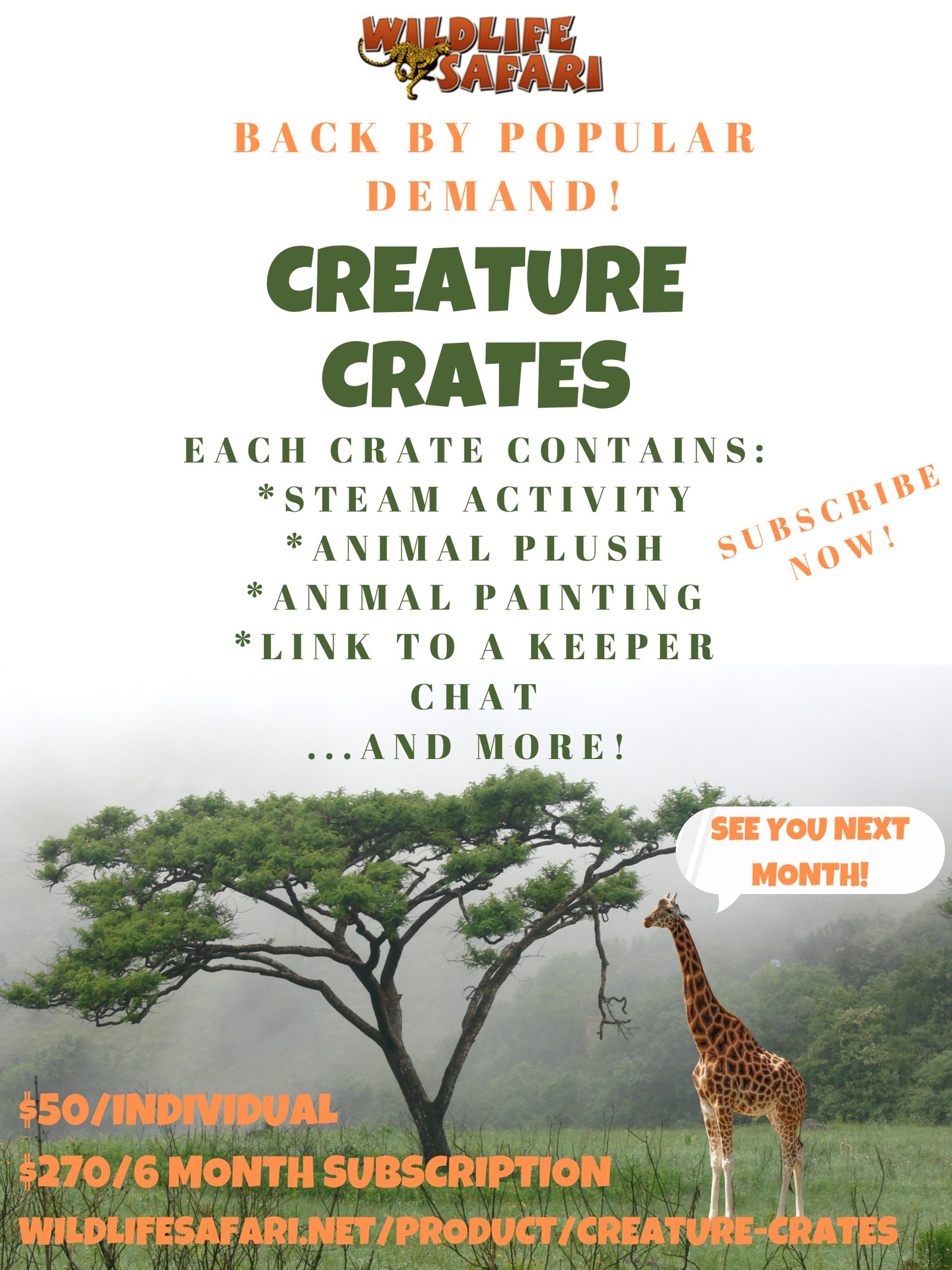 DVD Cute & Cuddly Critters: Wild Animals Africa [DVD]