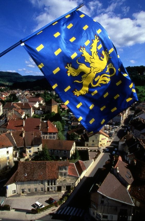 Where to find the historic French flag with darkened colors