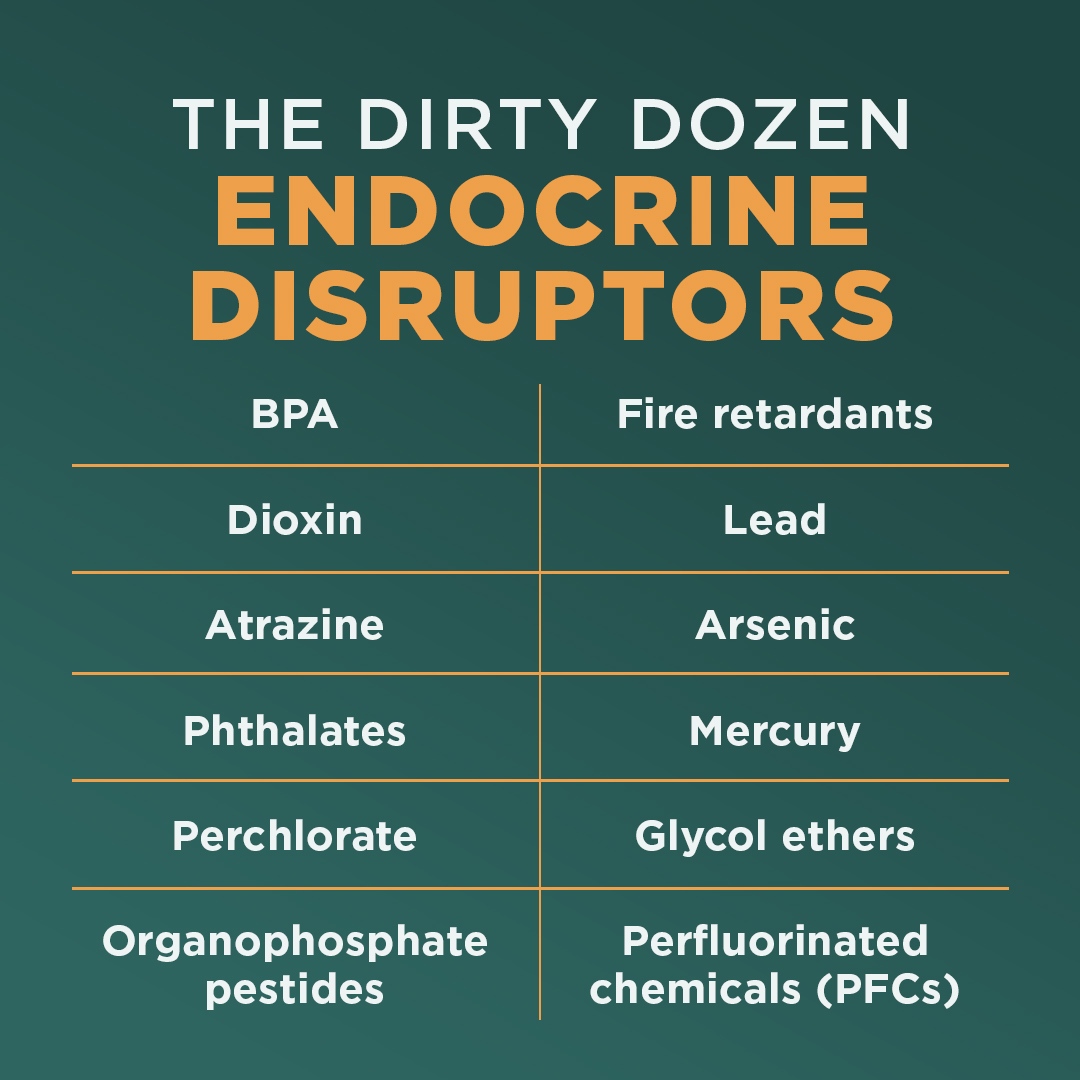 What Are Endocrine Disruptors And How Should You Protect Endocrine
