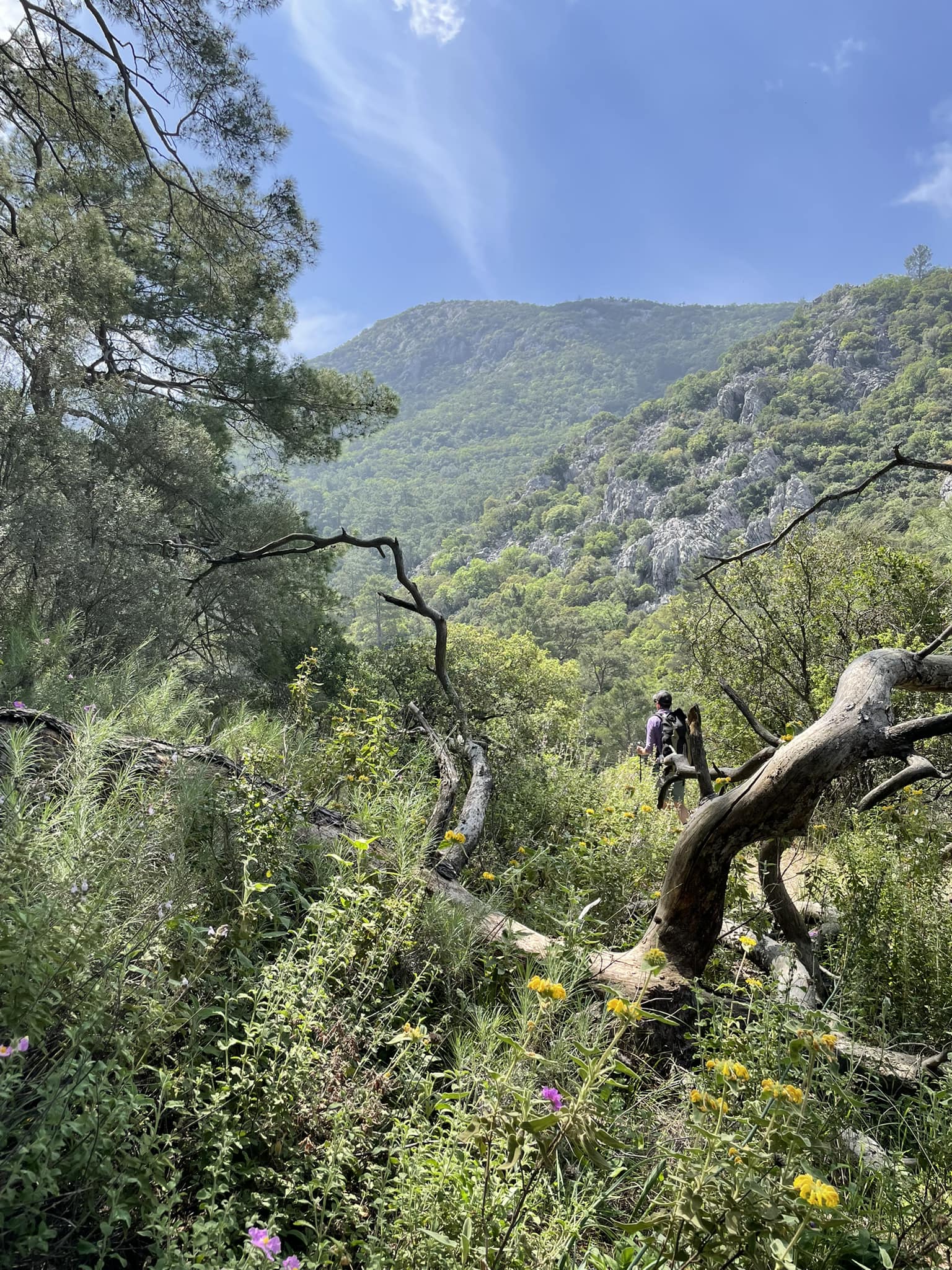 What to do near Karaoz before flying out of Istanbul?