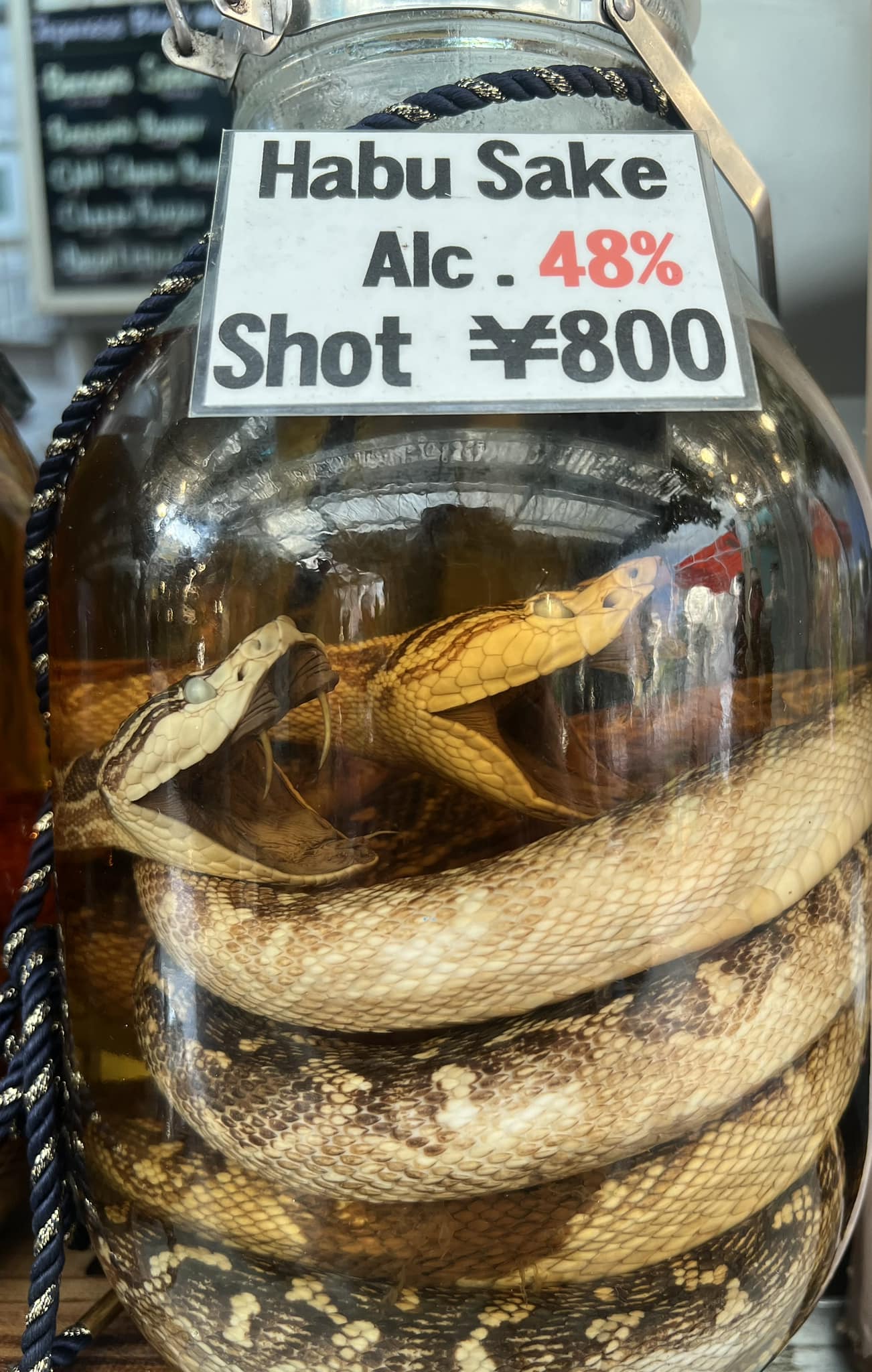 This shocking beverage is Okinawa's Habushu, or habu sake! Habu is